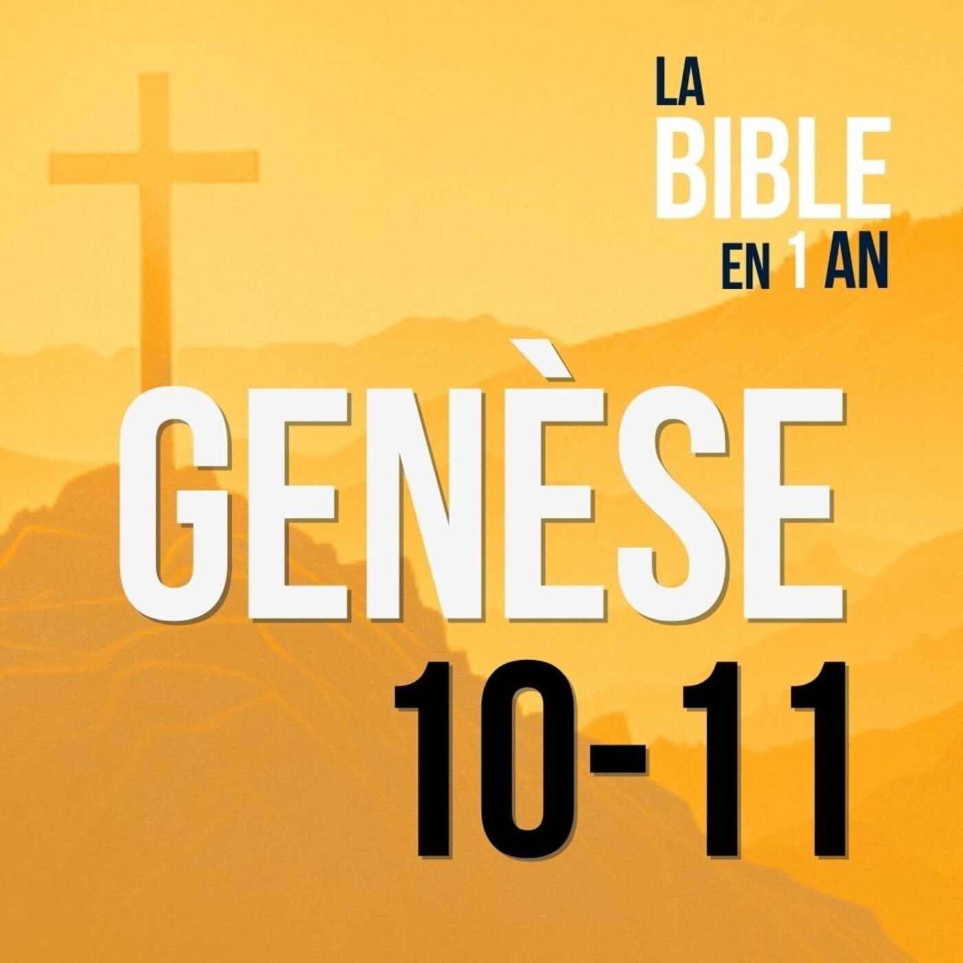 J5 -  La tour de Babel  - matin ☼