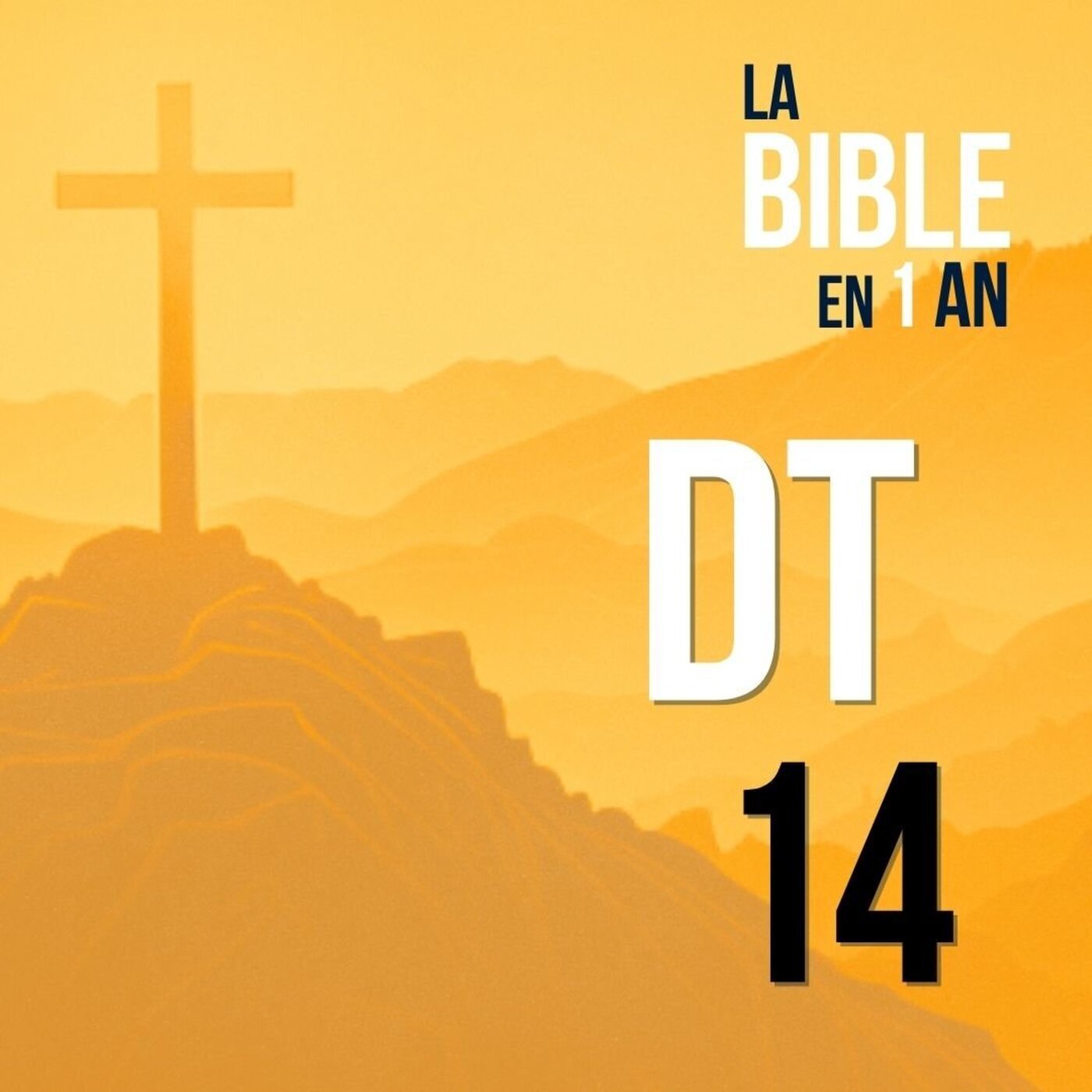 J74 - Vivre saintement : des lois de pureté à la fête de Dieu - matin ☼