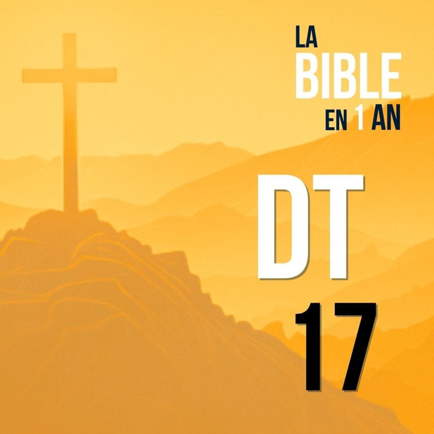 J75 - Le roi, gardien de la loi divine - matin ☼