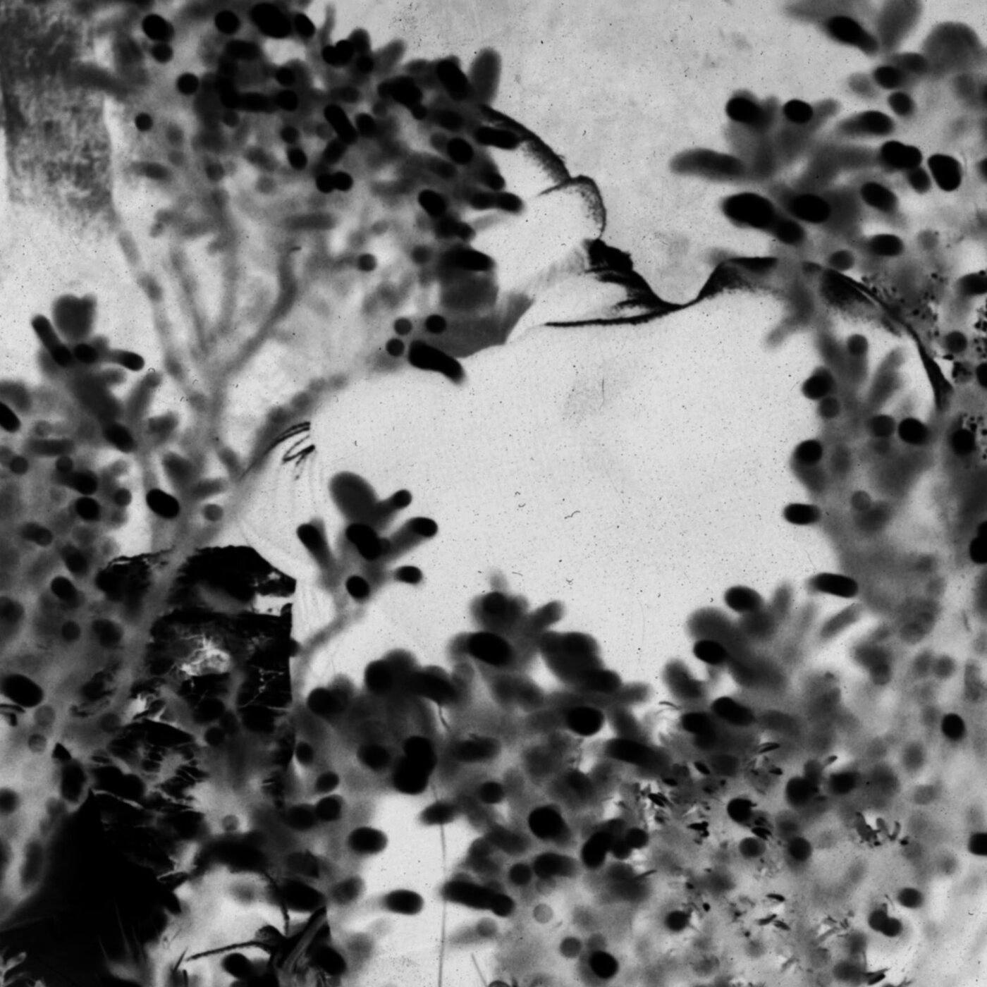 Les murmurants, poème sonore