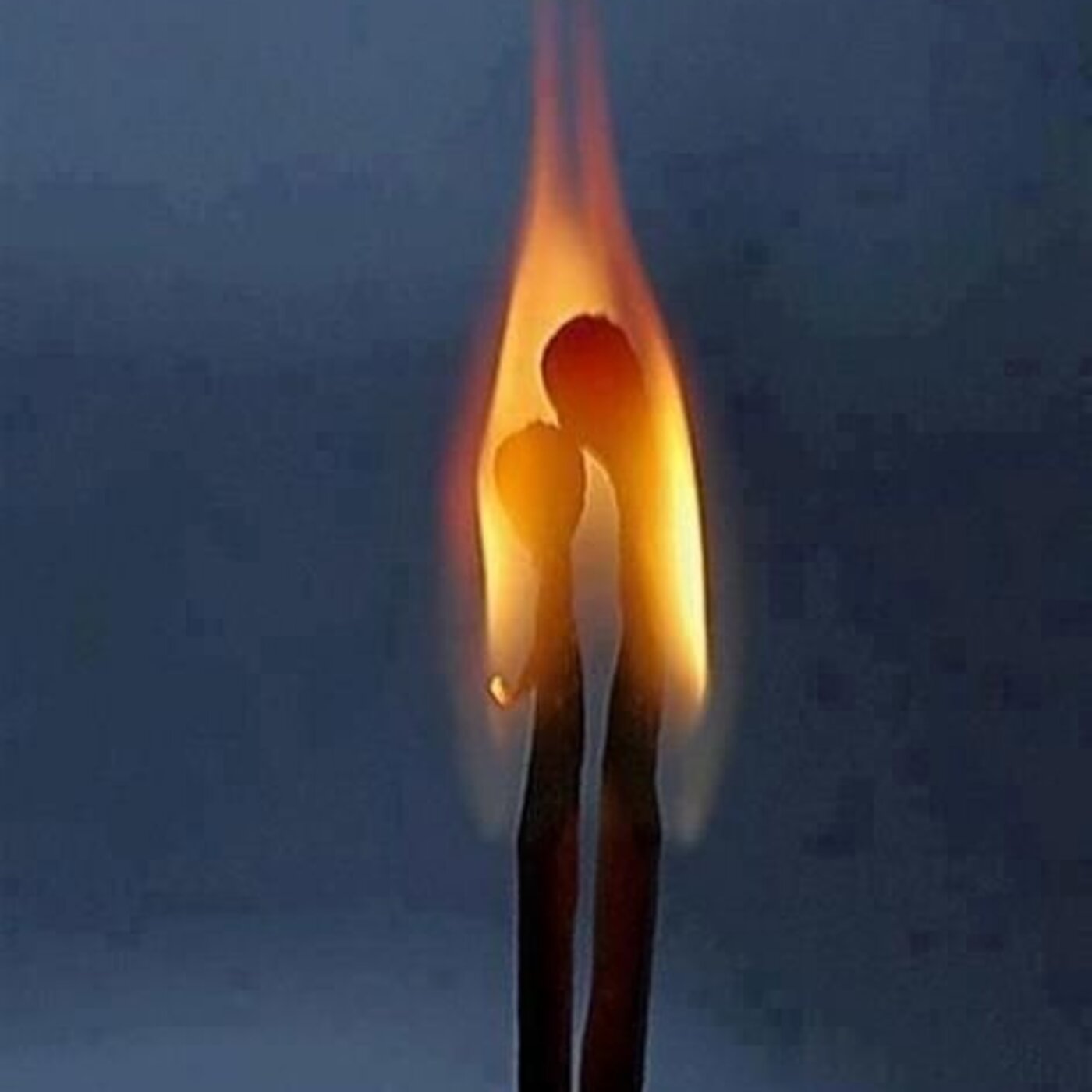 Voie Poétique - Poésie & philosophie contemplative