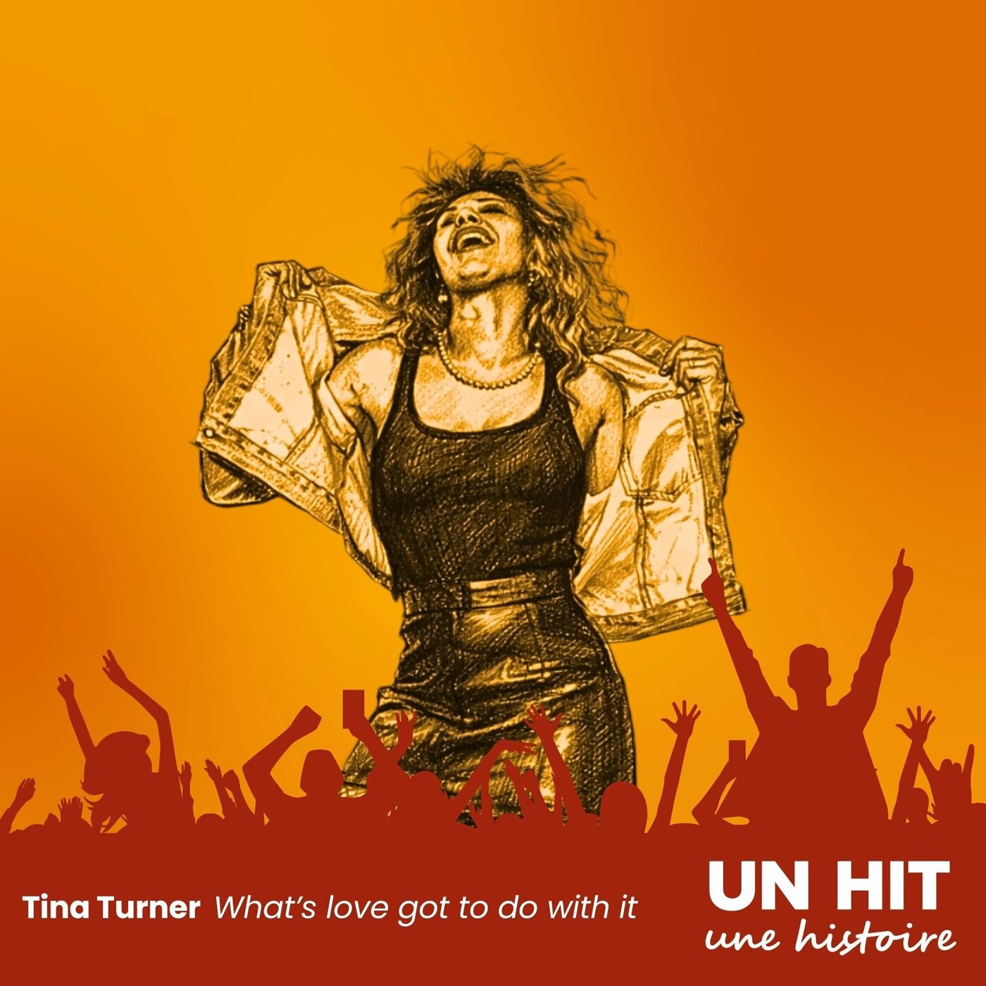 What’s love got to do with it – Tina Turner : une chanson refusée devenue culte