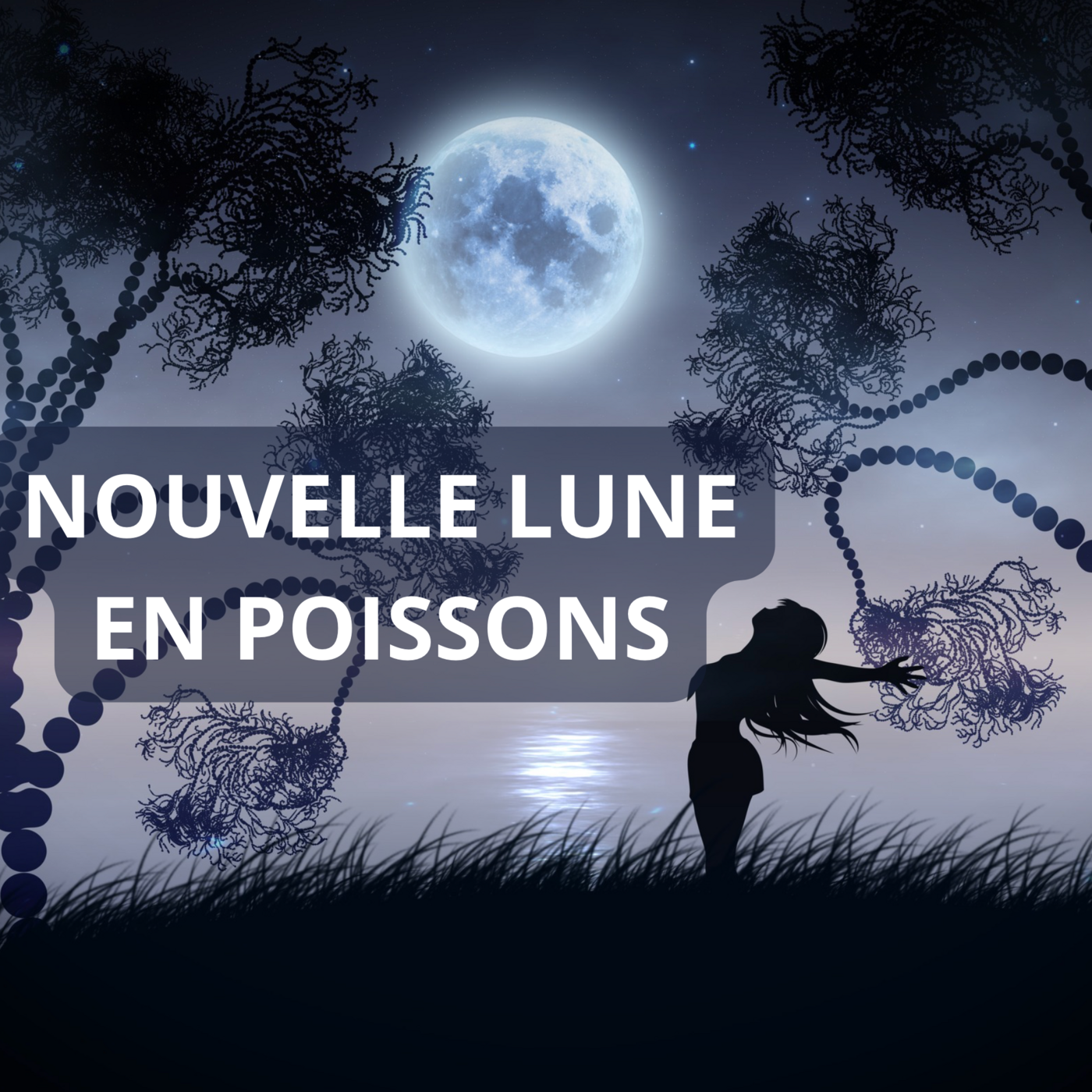 Nouvelle Lune en Poissons episode artwork