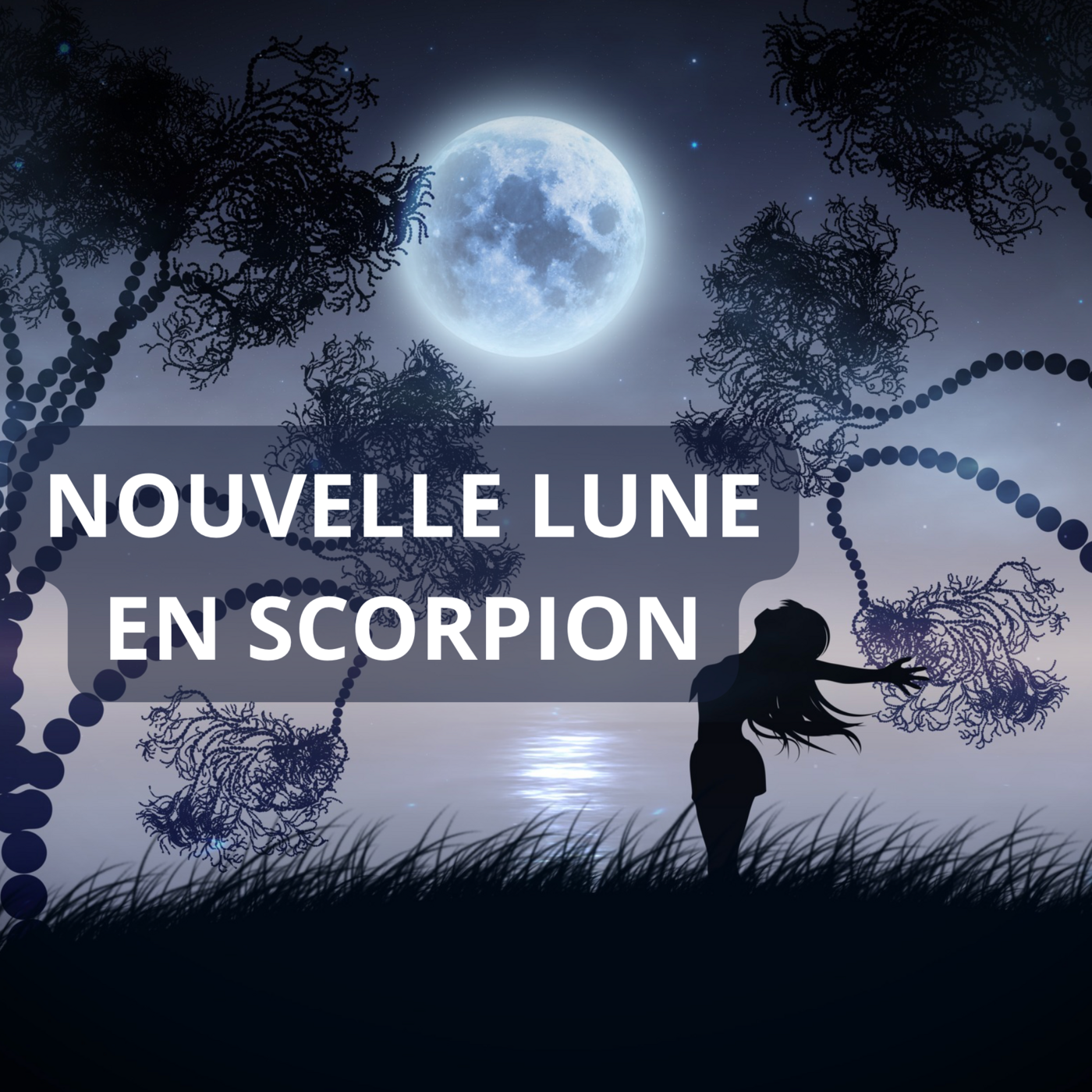 Nouvelle Lune en Scorpion