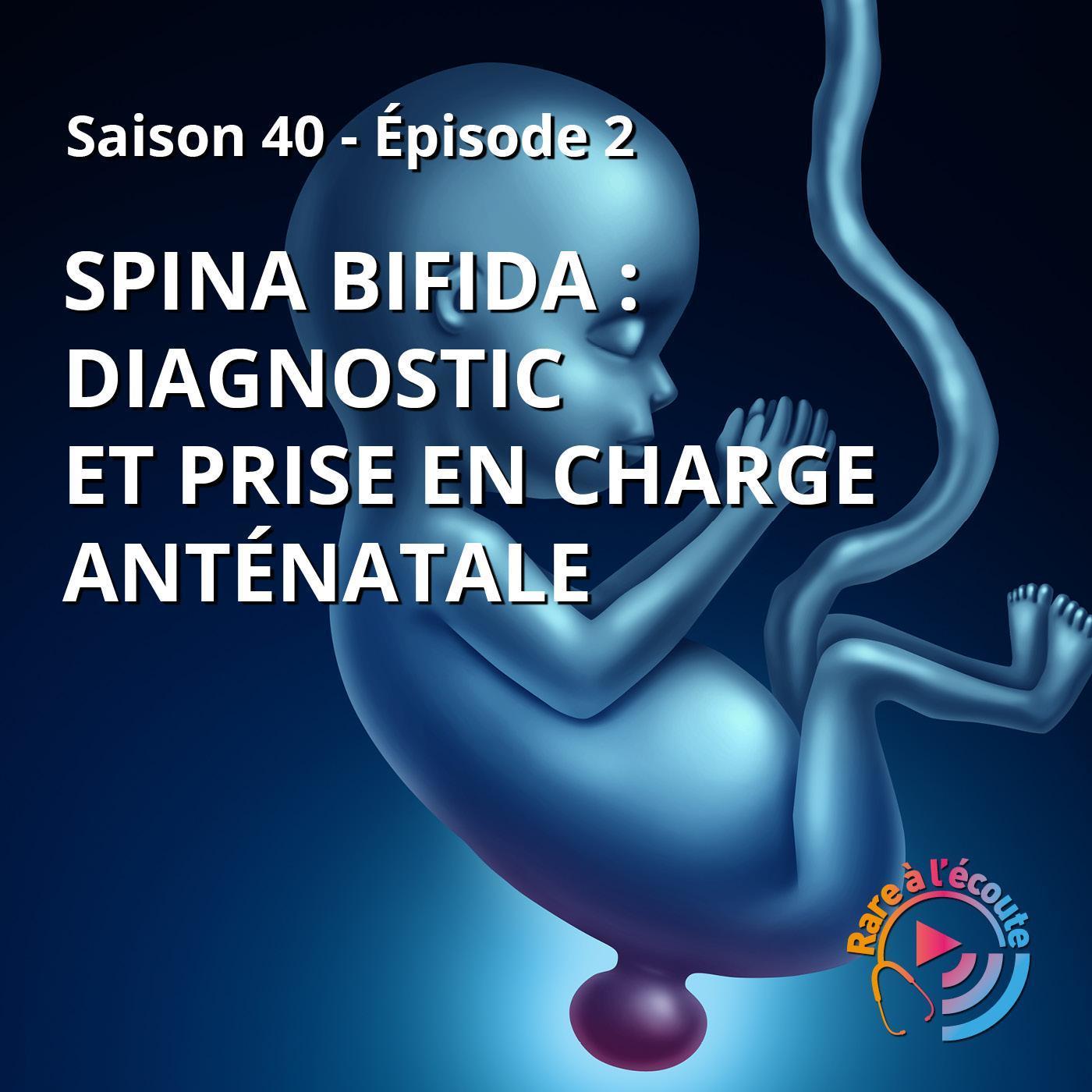 Maladie rare - Spina bifida : diagnostic et prise en charge anténatale episode artwork