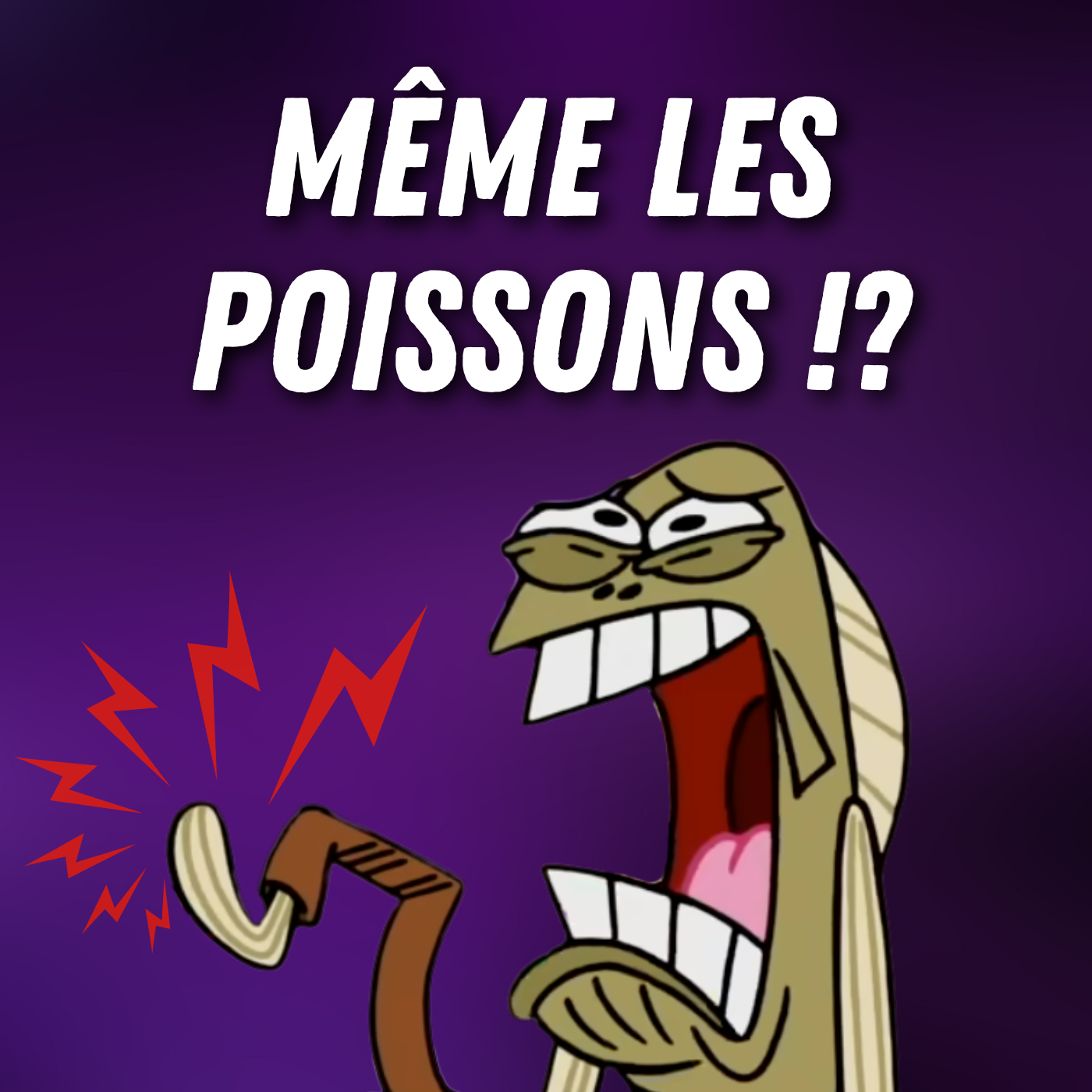 Les animaux ressentent-ils la douleur ? 🐇