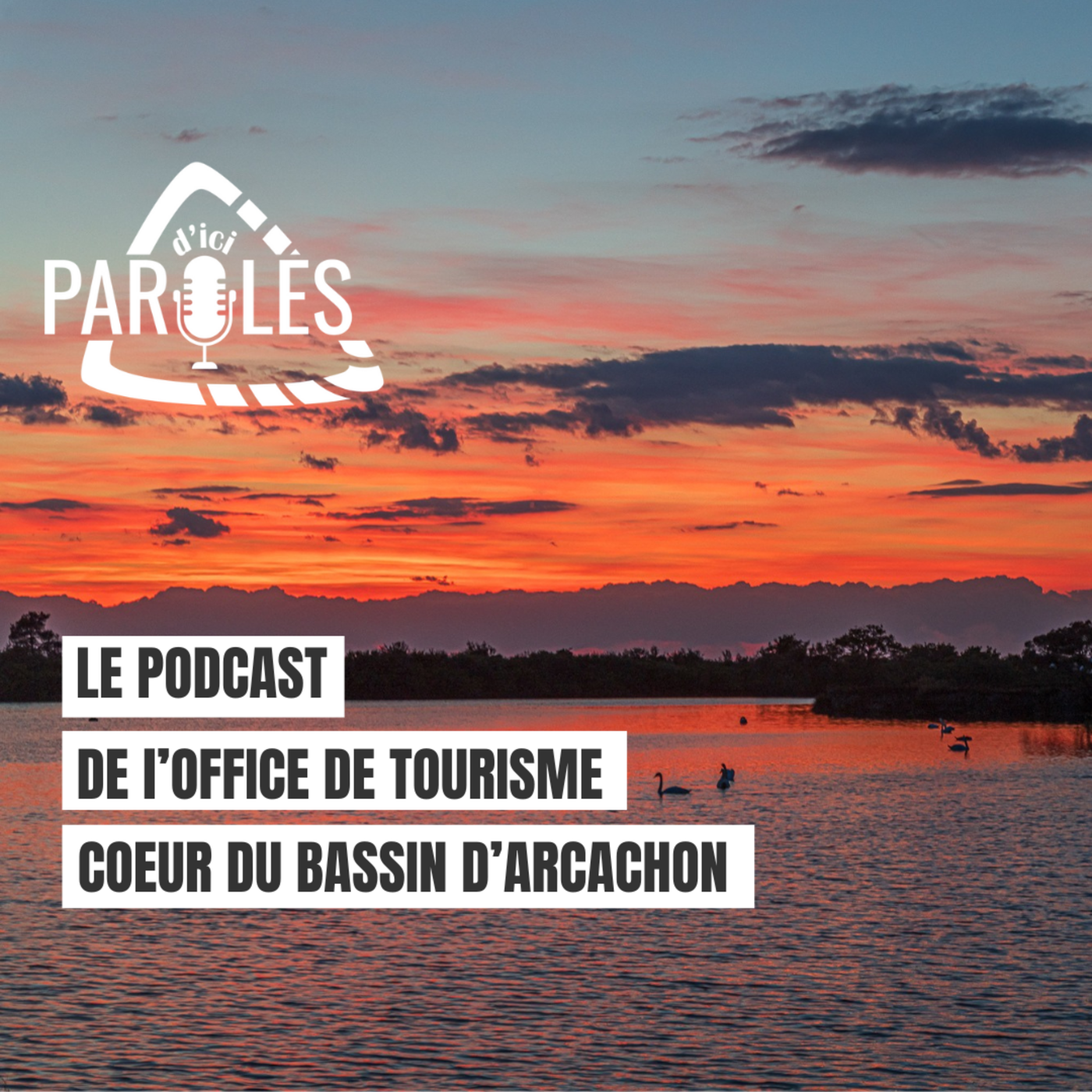Bande-annonce du podcast Coeur du Bassin d'Arcachon