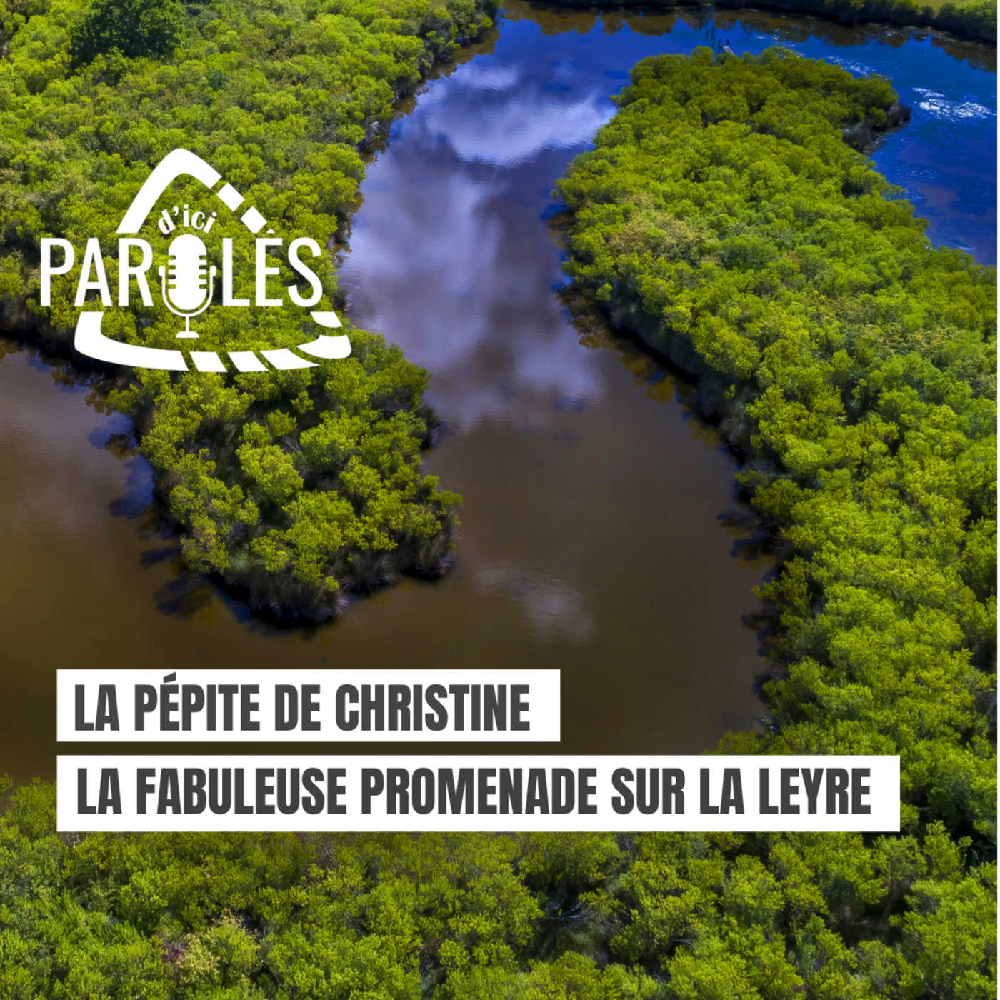 La fabuleuse promenade sur la Leyre