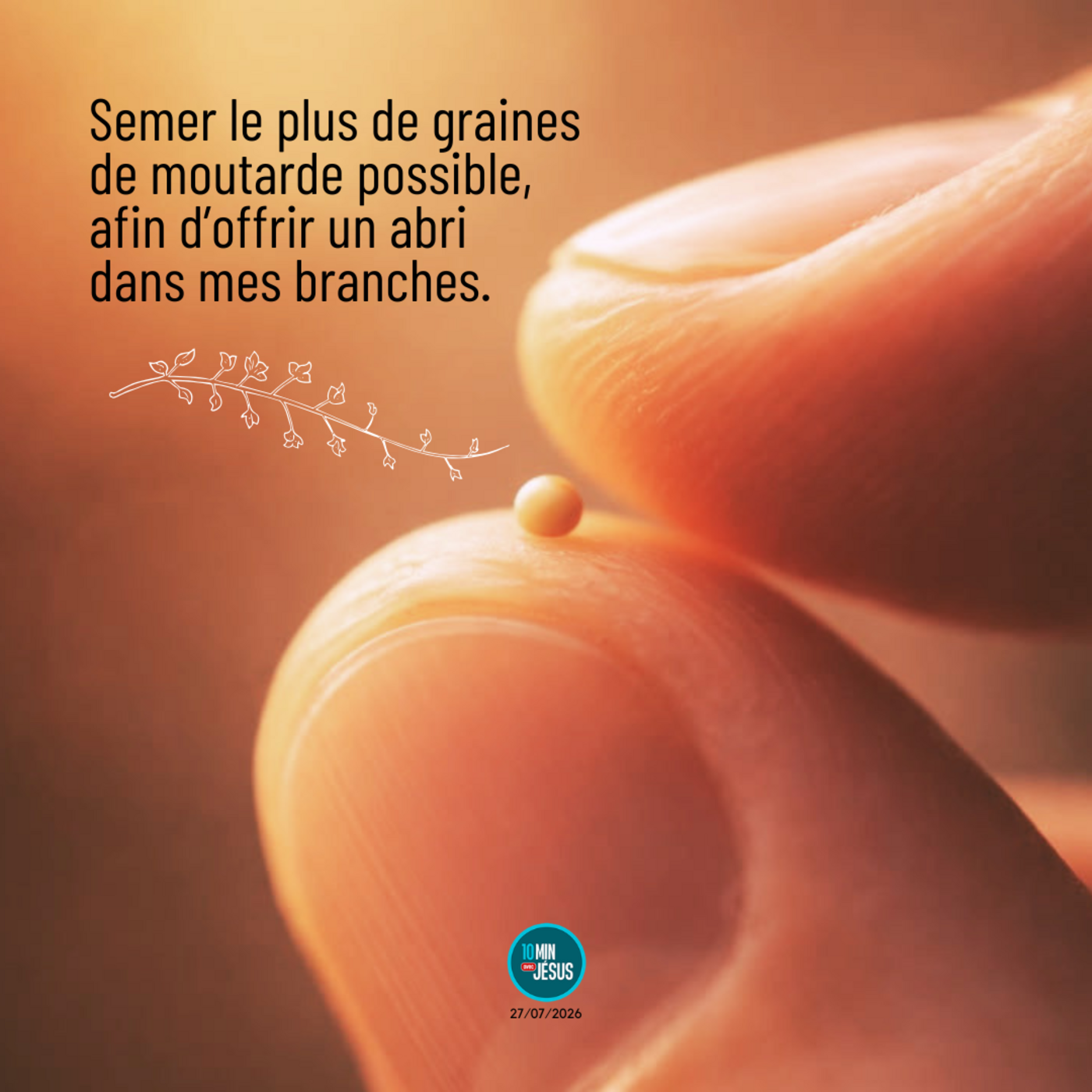 Constructeurs de nids (27-07-2026)
