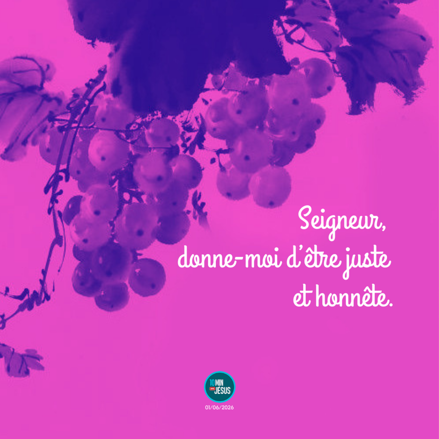 Le gang des vignerons (01-06-2026) episode artwork