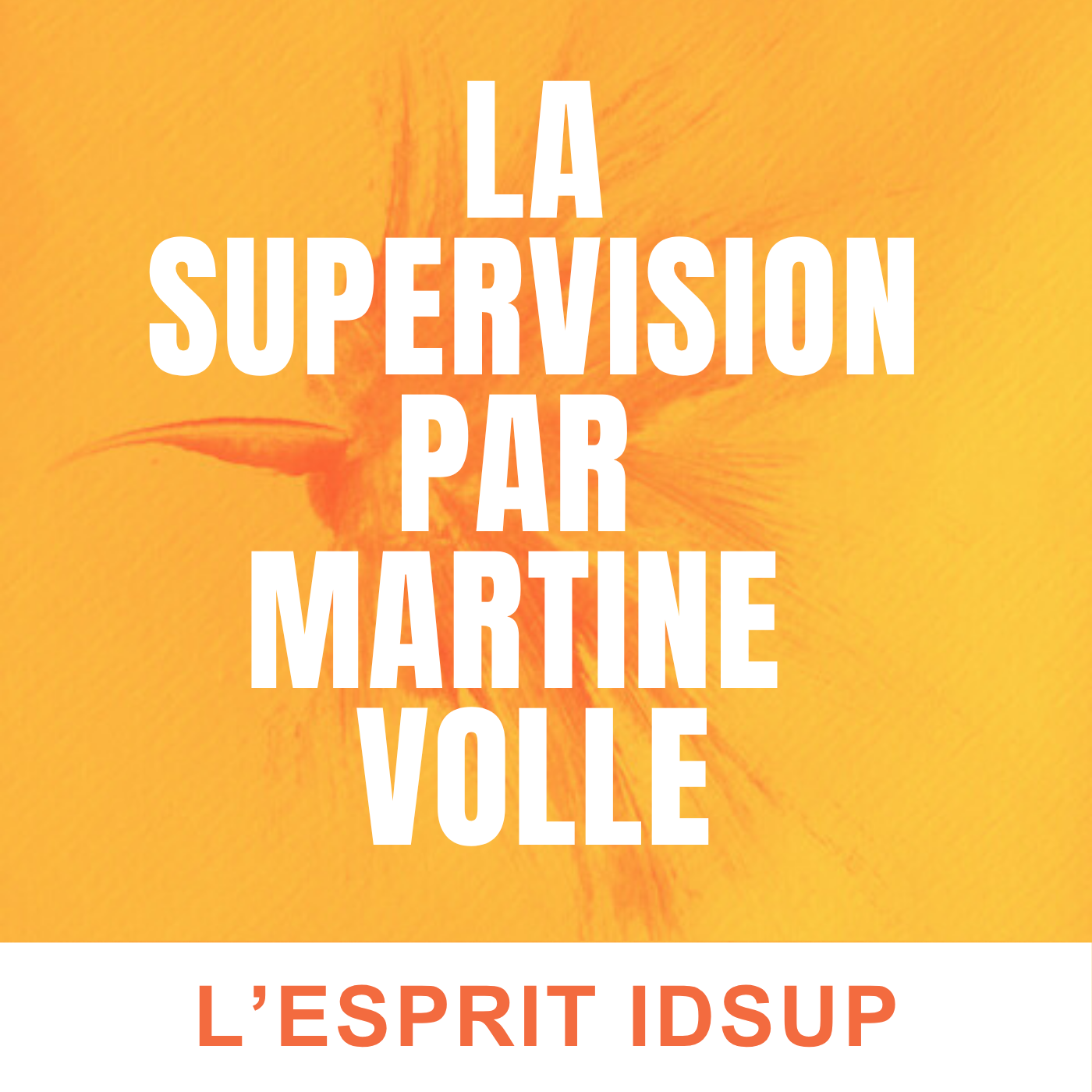 Épisode n°11 : Les ressources et l'identité du superviseur