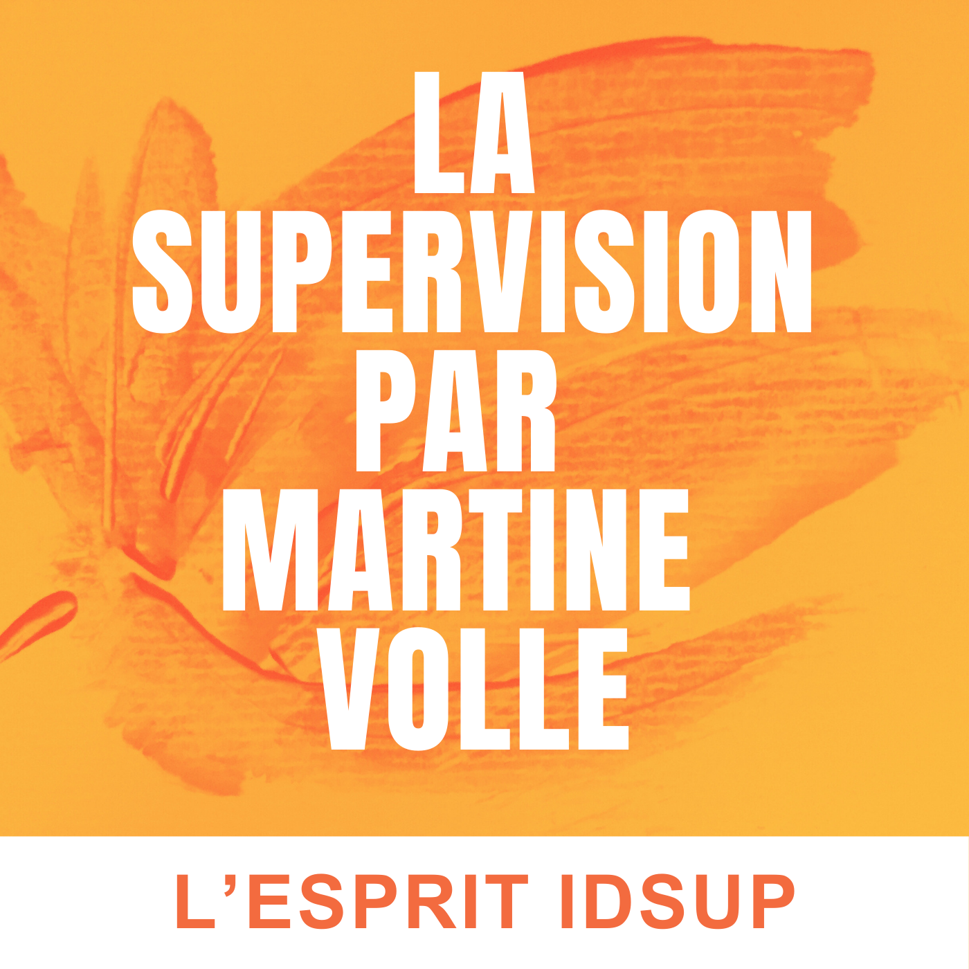 La Supervision Par Martine Volle