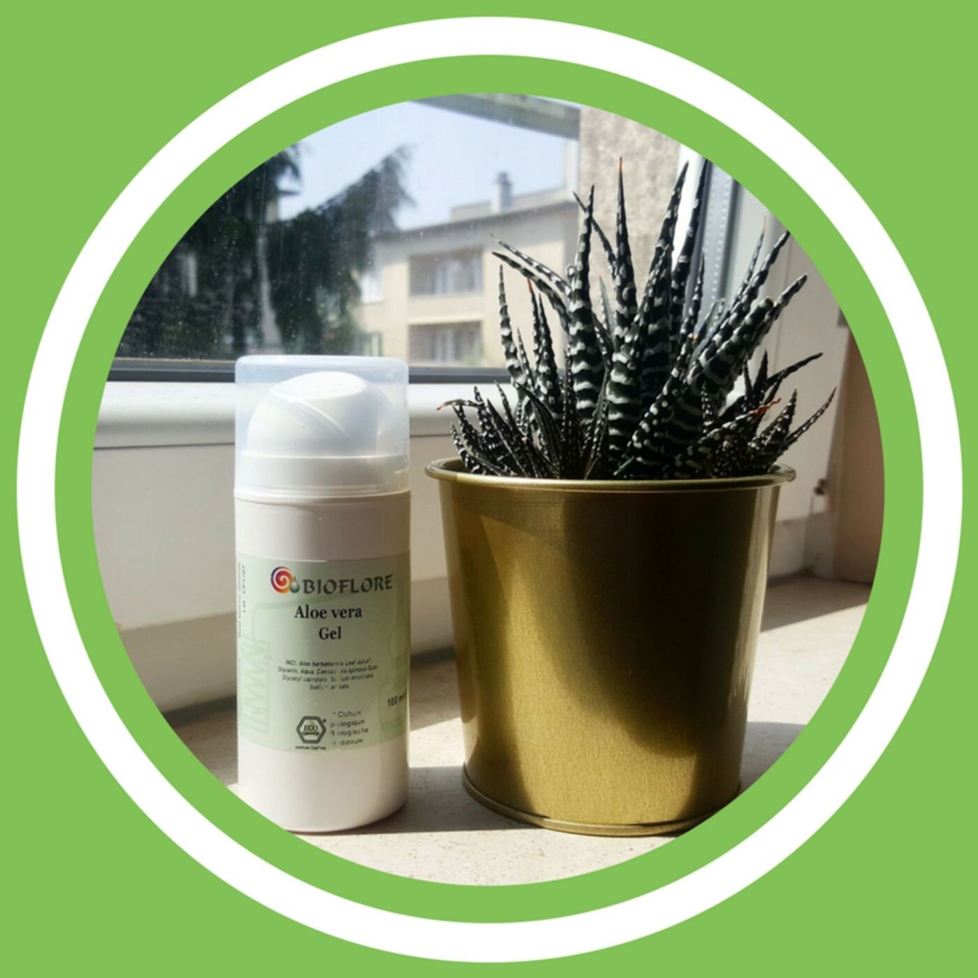 #081 - Julie Bernard -  Un petit tour du coté d'Aloé vera (FR)