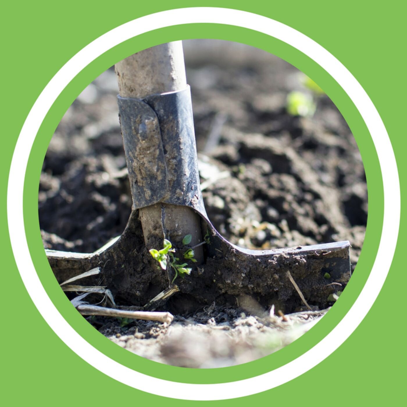 #088 - Jeanne Delaurent - Débuter un projet de culture (FR)