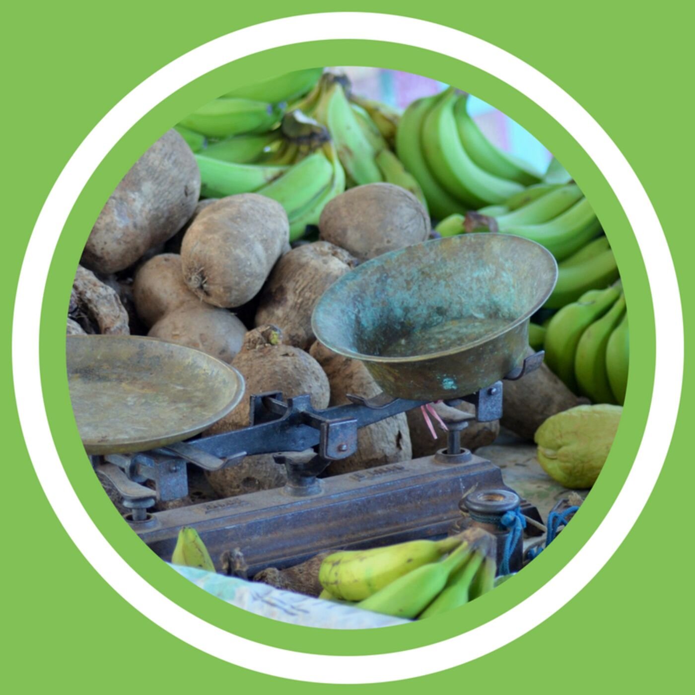 #092 - Méthode Archi Sain : 002  - Diètes ou régimes? (FR)