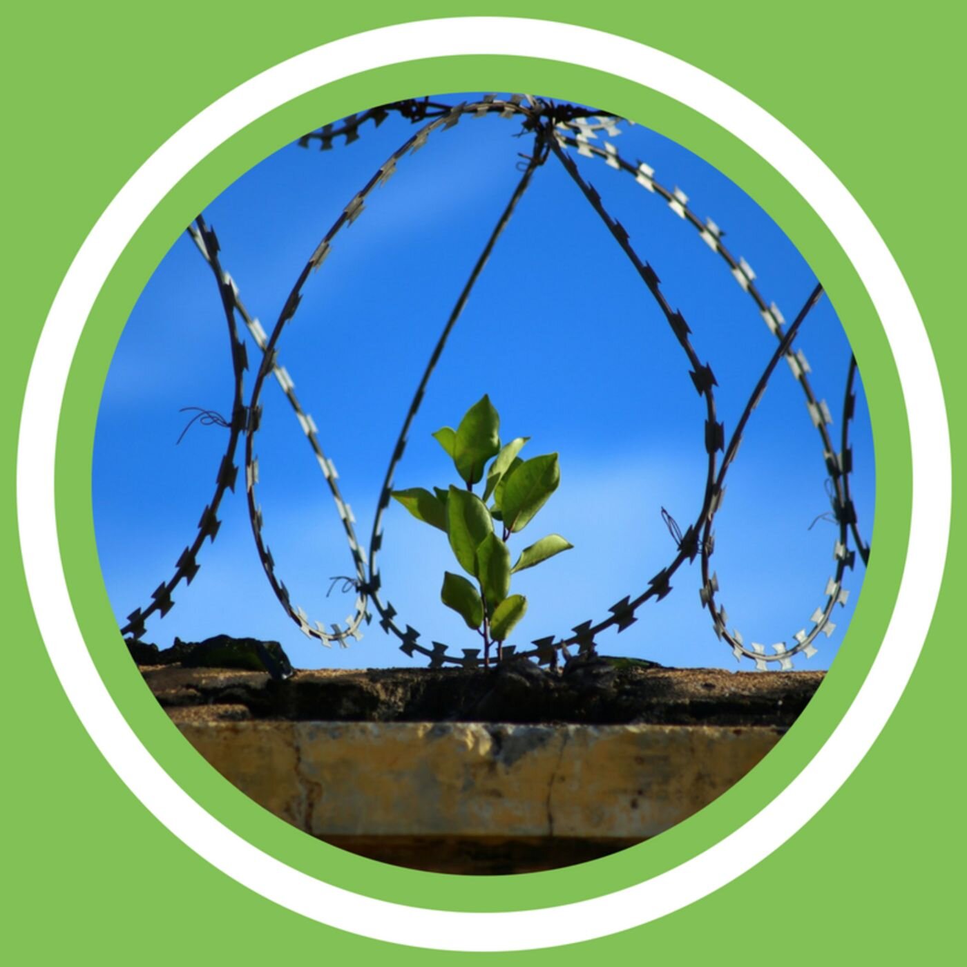 #094 - Méthode Archi Sain : 004 - 6 facteurs de l'addiction alimentaire (FR)