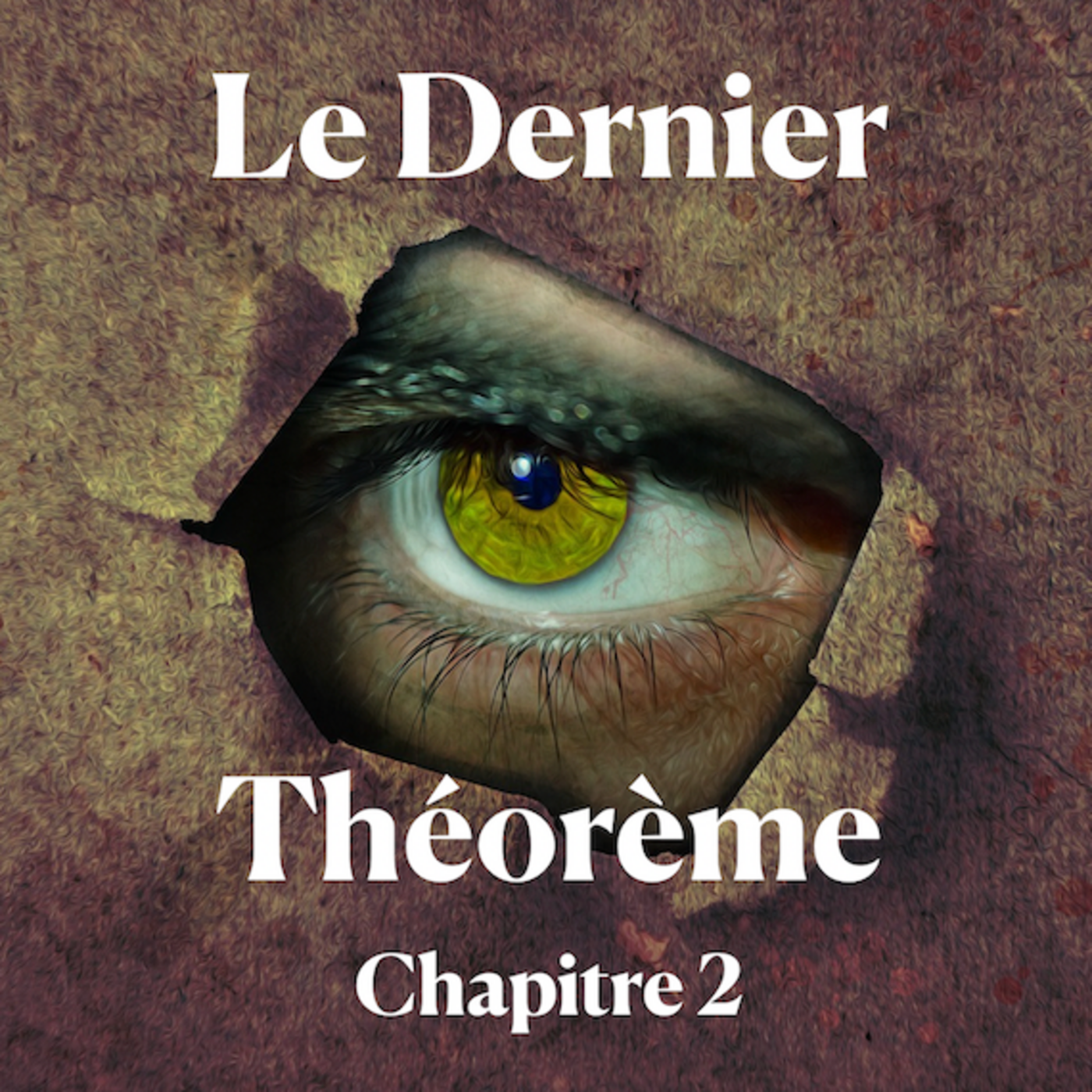 Artwork for Le Dernier Théorème - Livre Audio