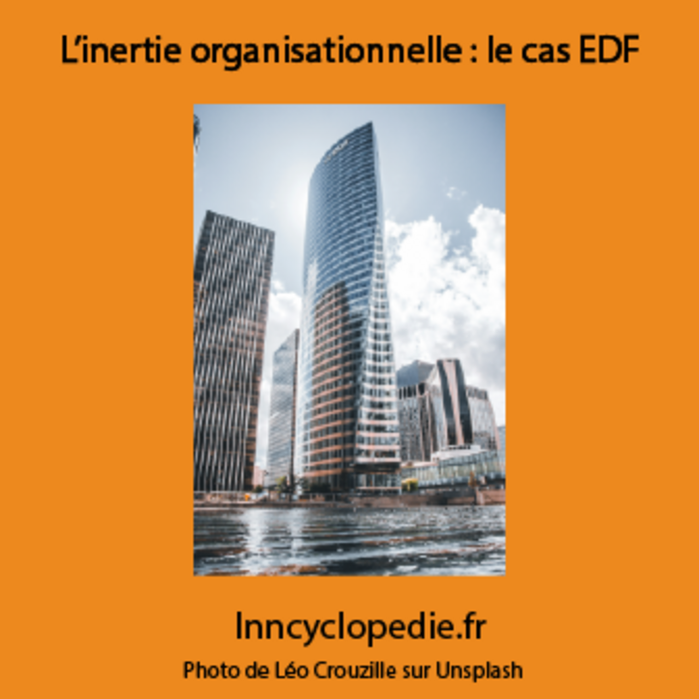 L'inertie organisationnelle : le cas EDF