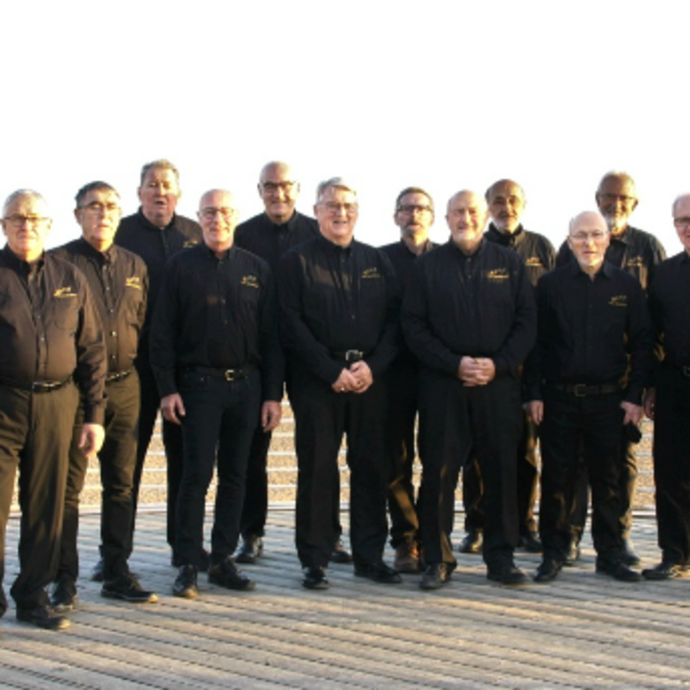 Vox Hominis, l'unique chœur d'hommes de Saint-Nazaire