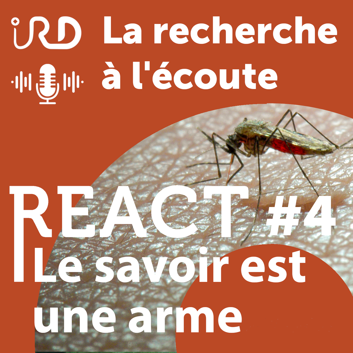 La recherche à l\'écoute