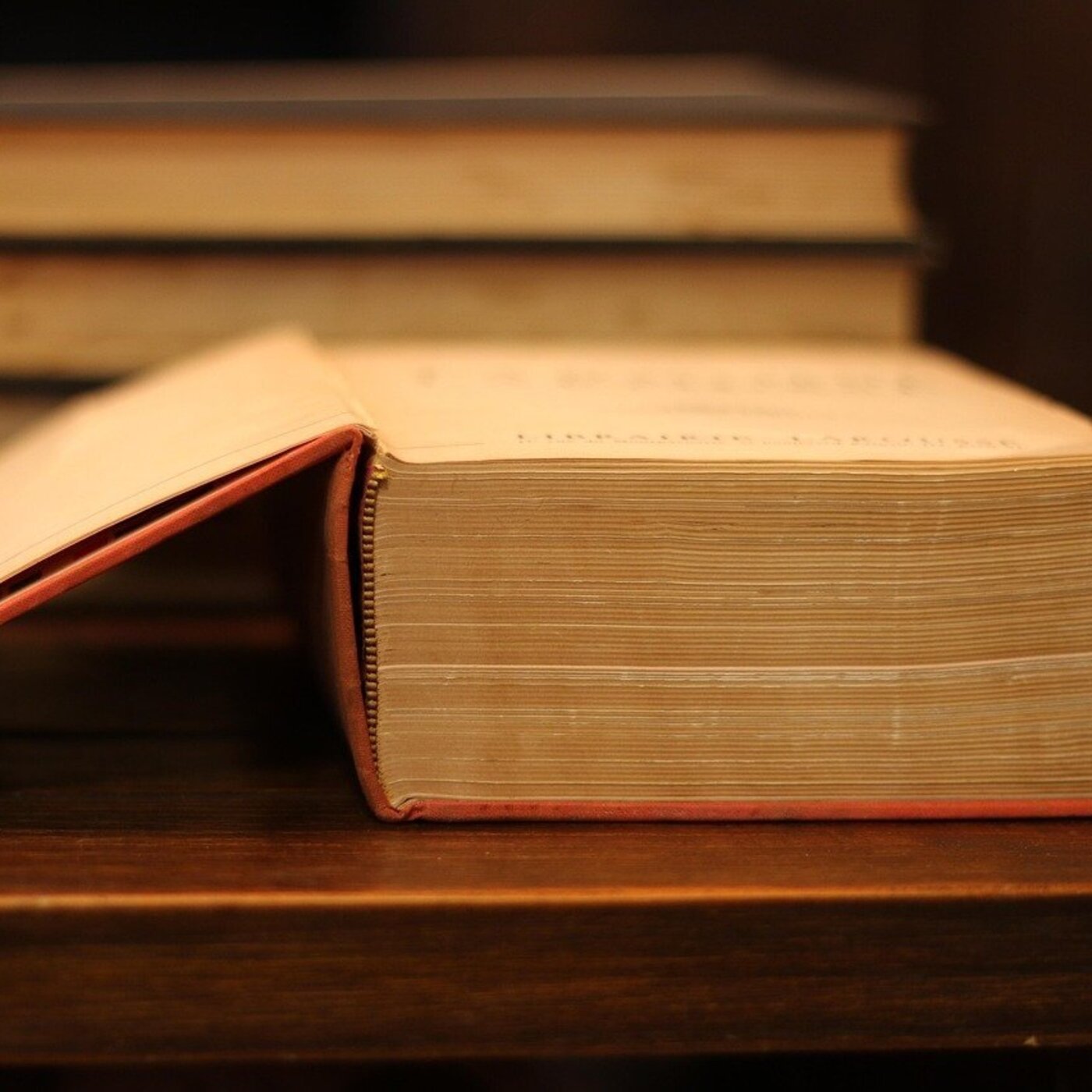 Le dictionnaire de Michel Leiris Le dictionnaire de Michel Leiris