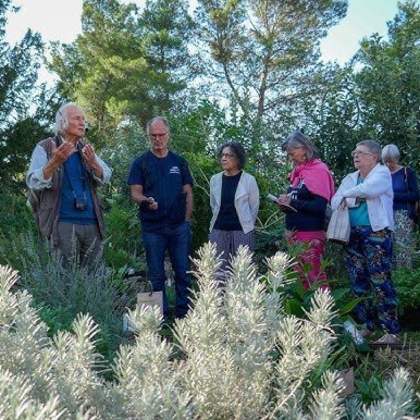 Ballade ethnobotanique avec Alain Renaux : Episode 2 Faire de la musique avec les plantes