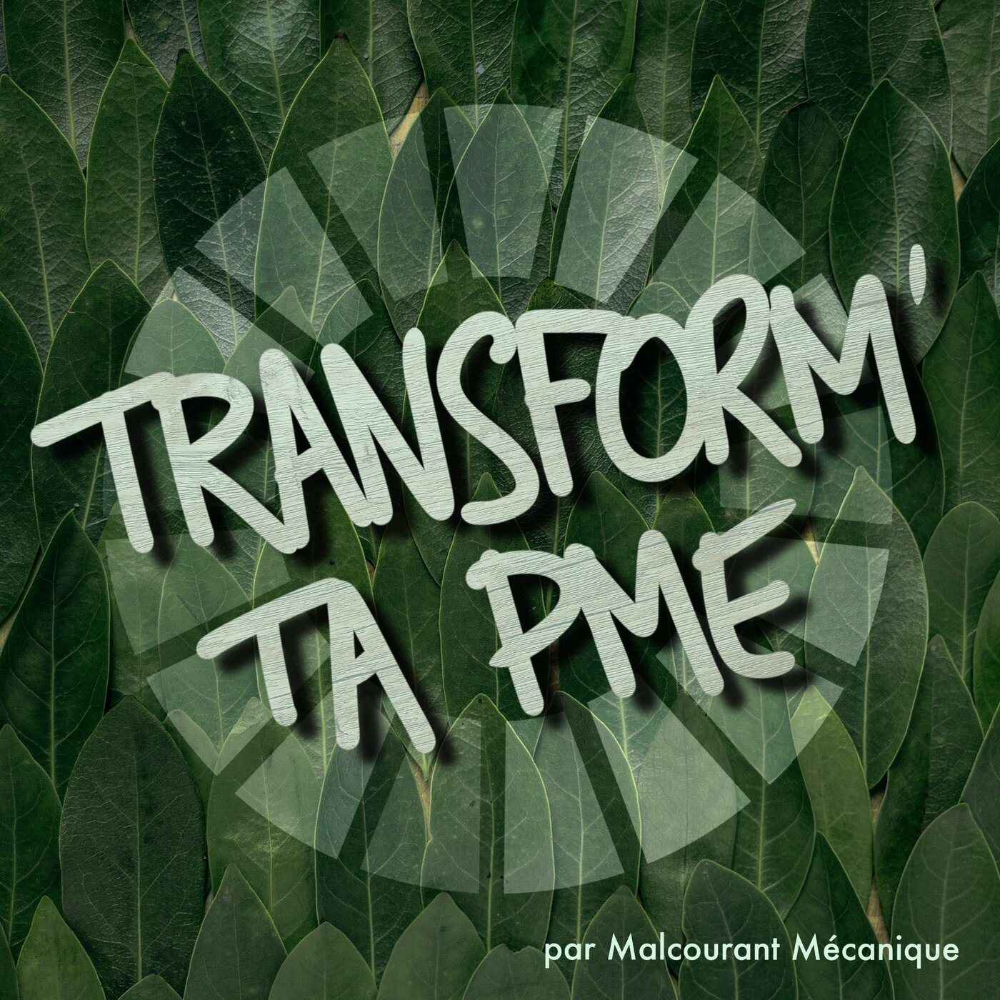 Les Objectifs de Développement Durable : du concept à l'action