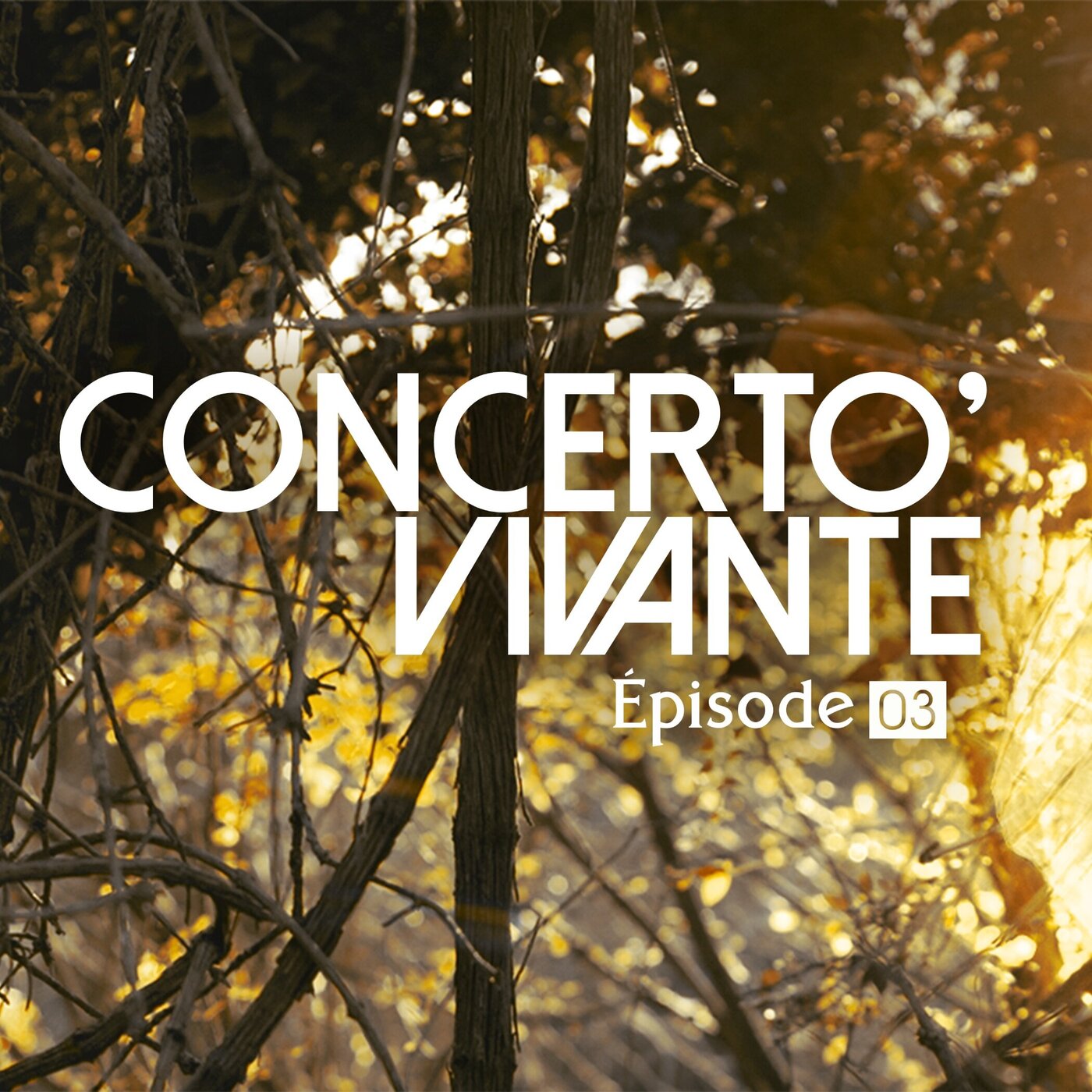 03 | Concerto' Vivante