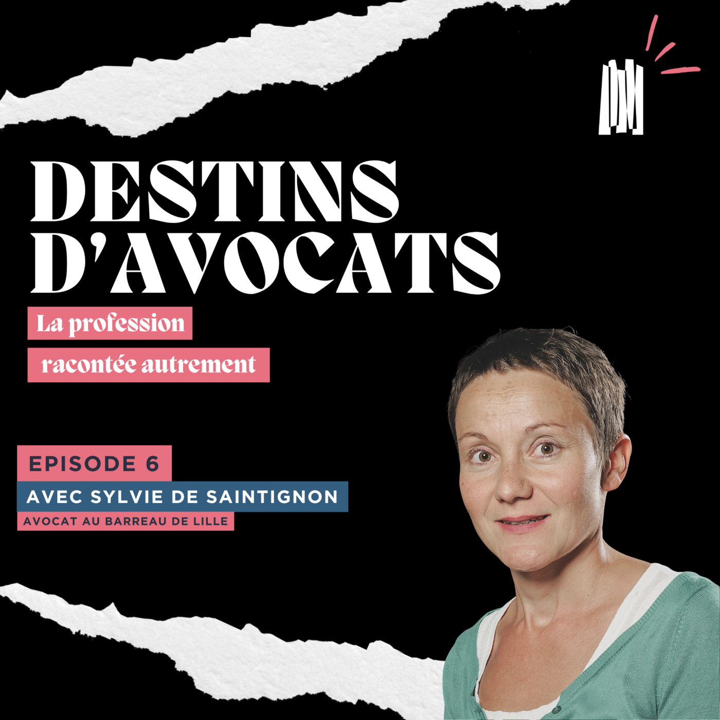 Destins d'Avocats - Maître Sylvie DE SAINTIGNON