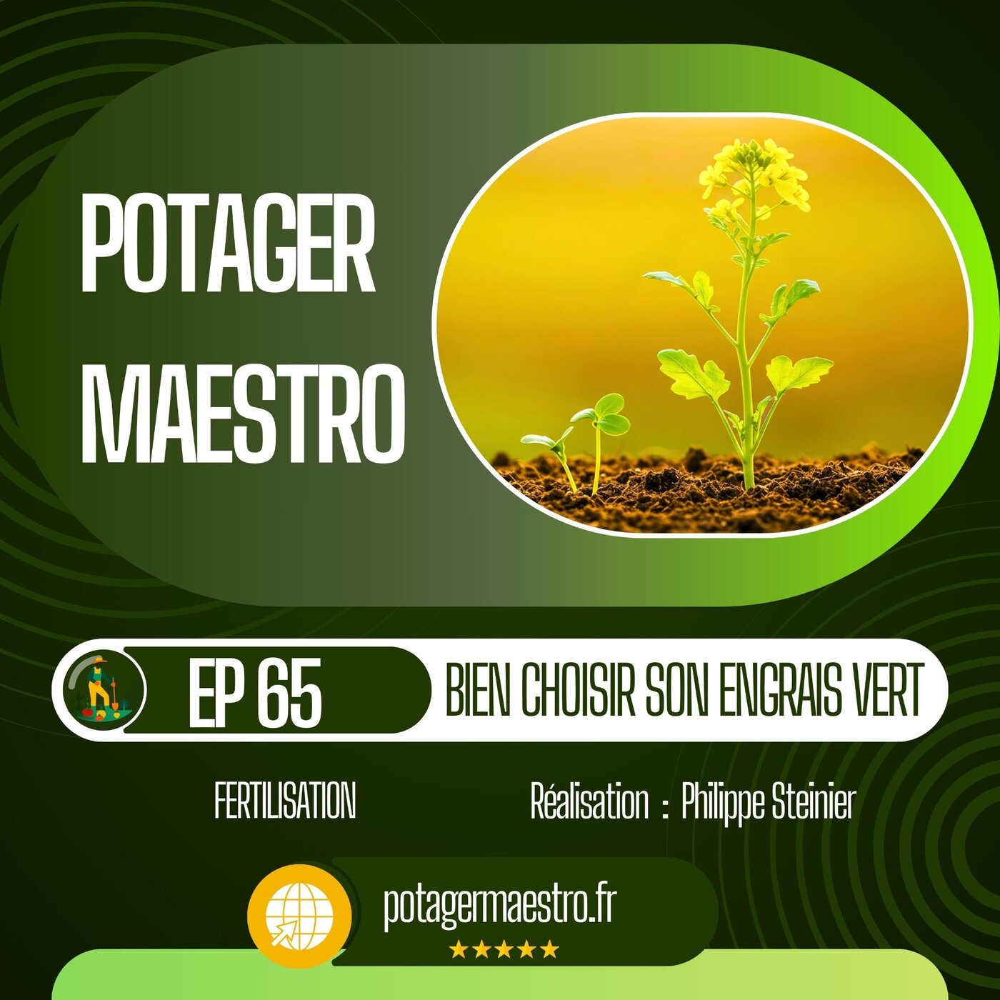 Bien choisir son engrais vert sans se tromper Bien choisir son engrais vert sans se tromper