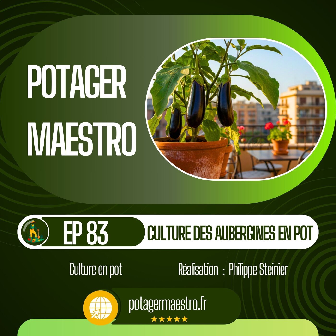 Cultiver l'aubergine en pot : les 4 piliers pour réussir 🍆