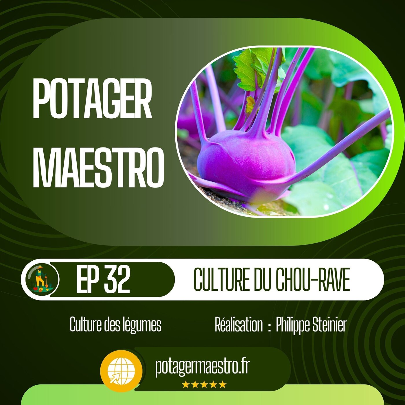 Culture du chou-rave
