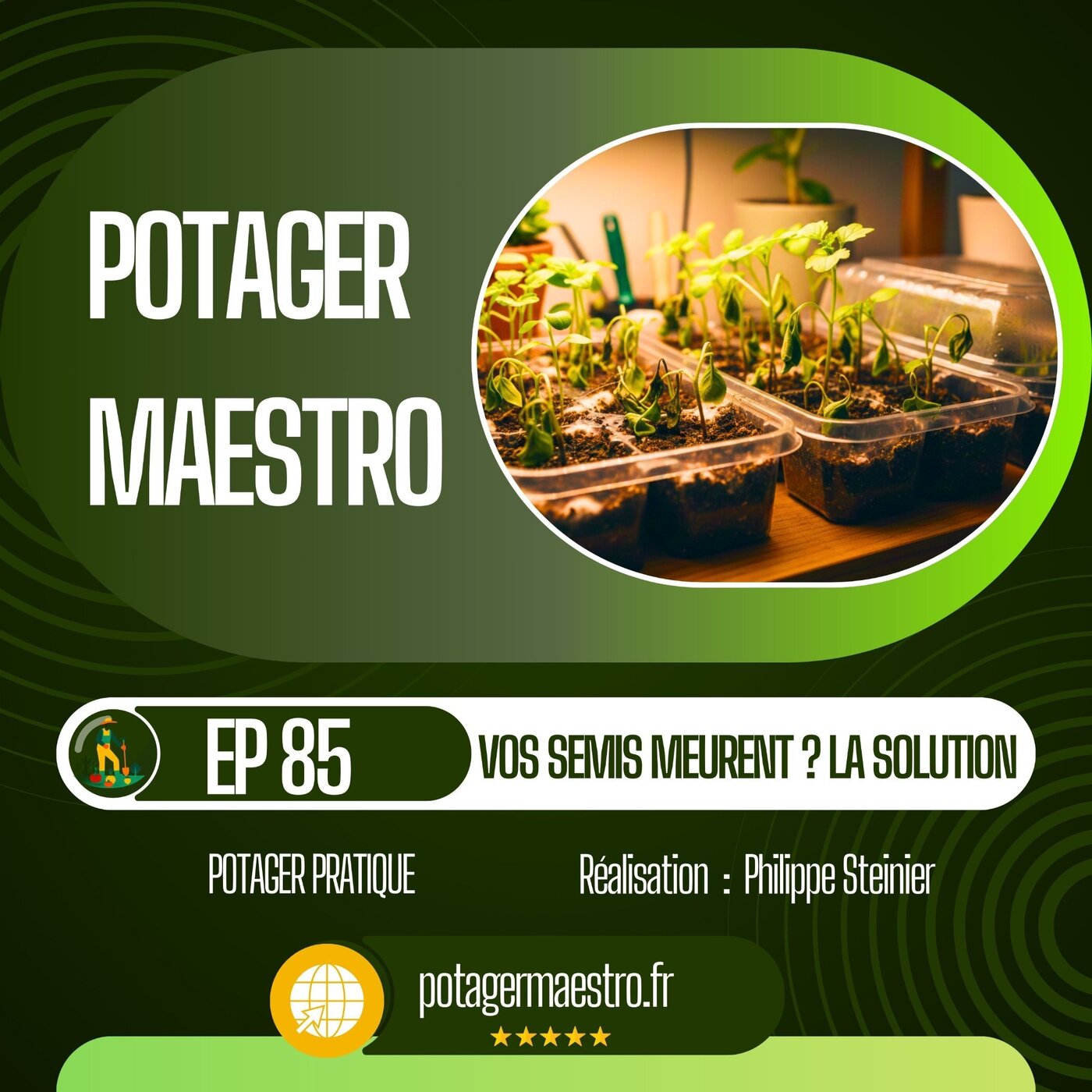 Fonte des semis : pourquoi vos plants meurent et comment l'éviter 🌱