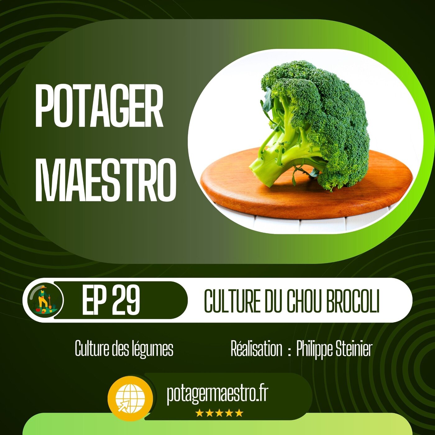 La culture du chou brocoli