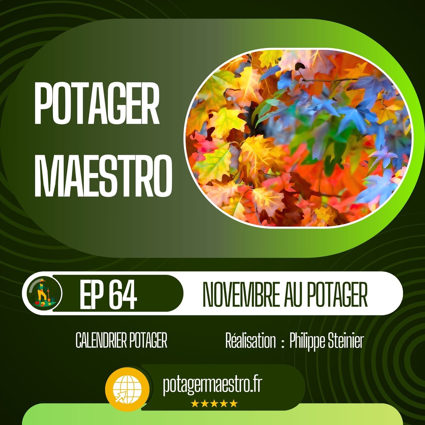 Novembre : que faire et planter au potager ? Novembre : que faire et planter au potager ?
