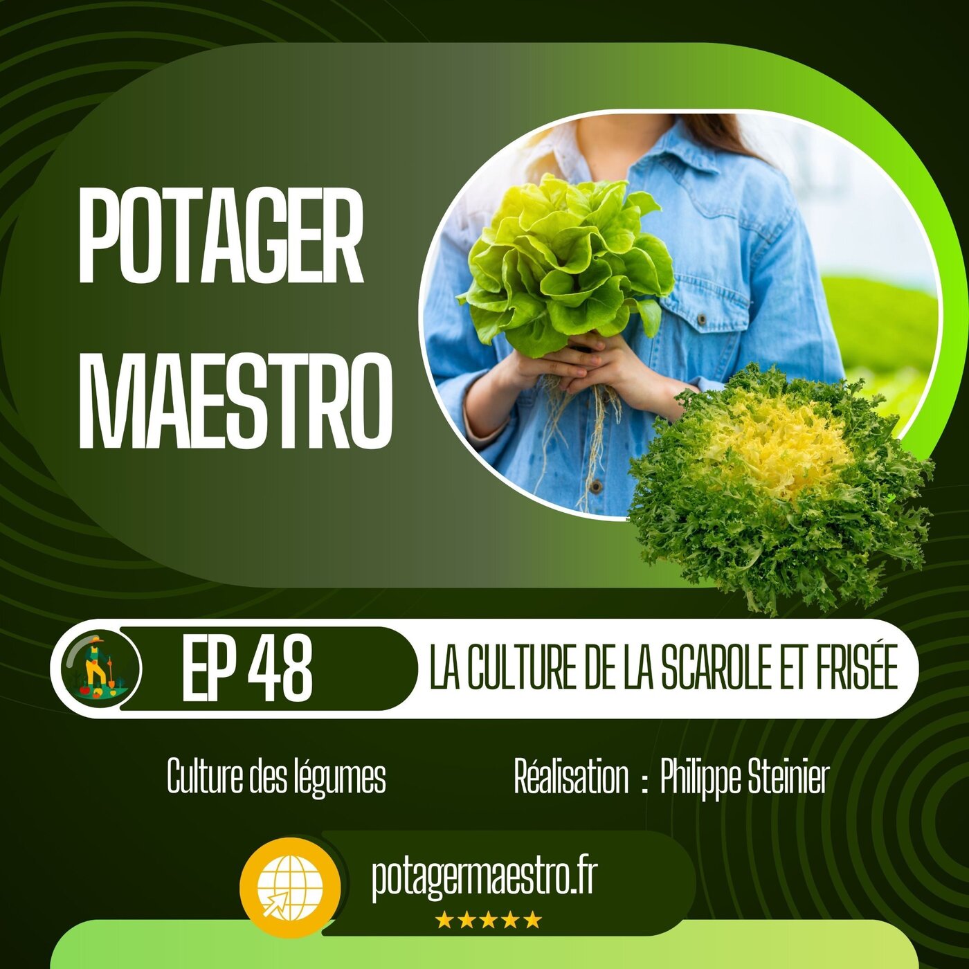 Réussir la culture de la chicorée scarole ou frisée dans votre potager