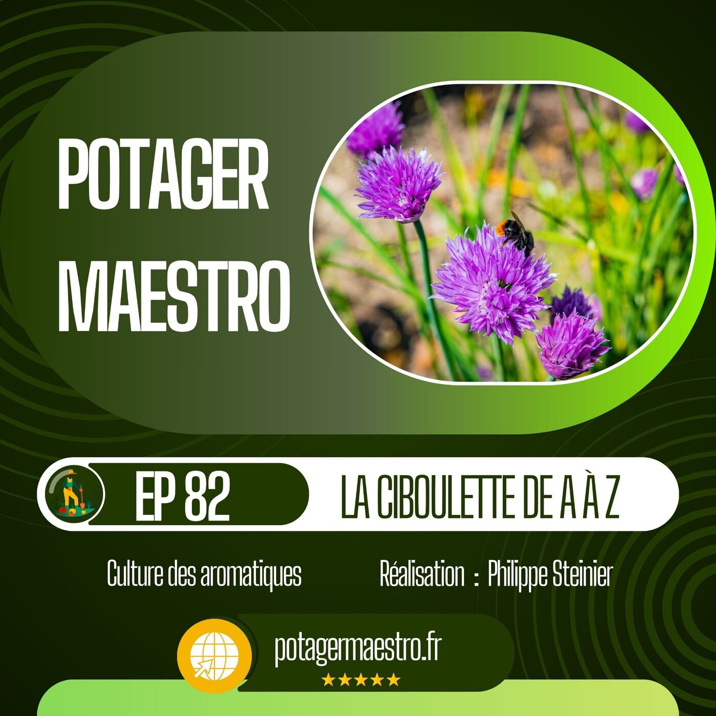 Réussir la culture de la ciboulette dans votre potager