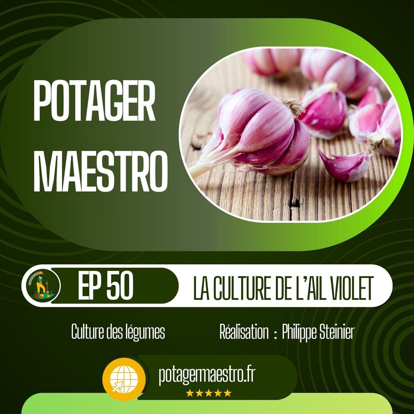 Réussir la culture de l'ail violet dans votre potager