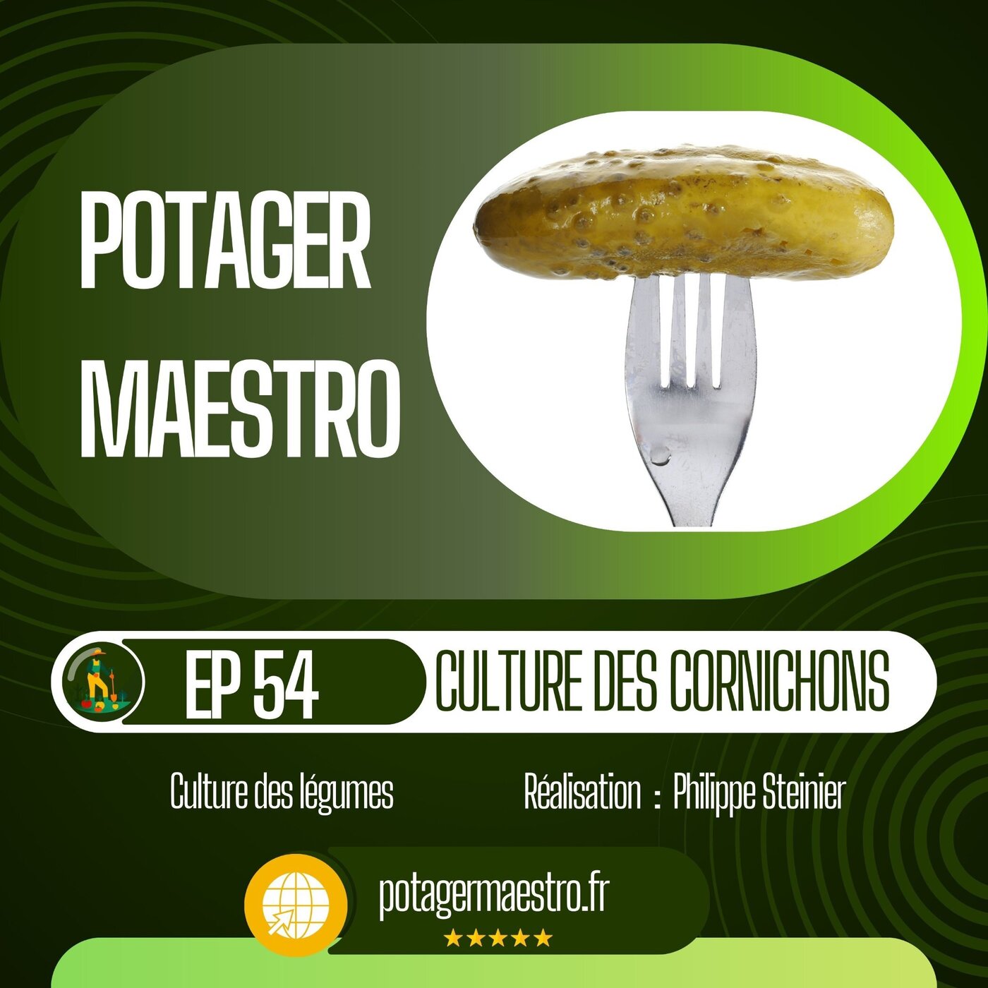 Réussir la culture des cornichons dans votre potager