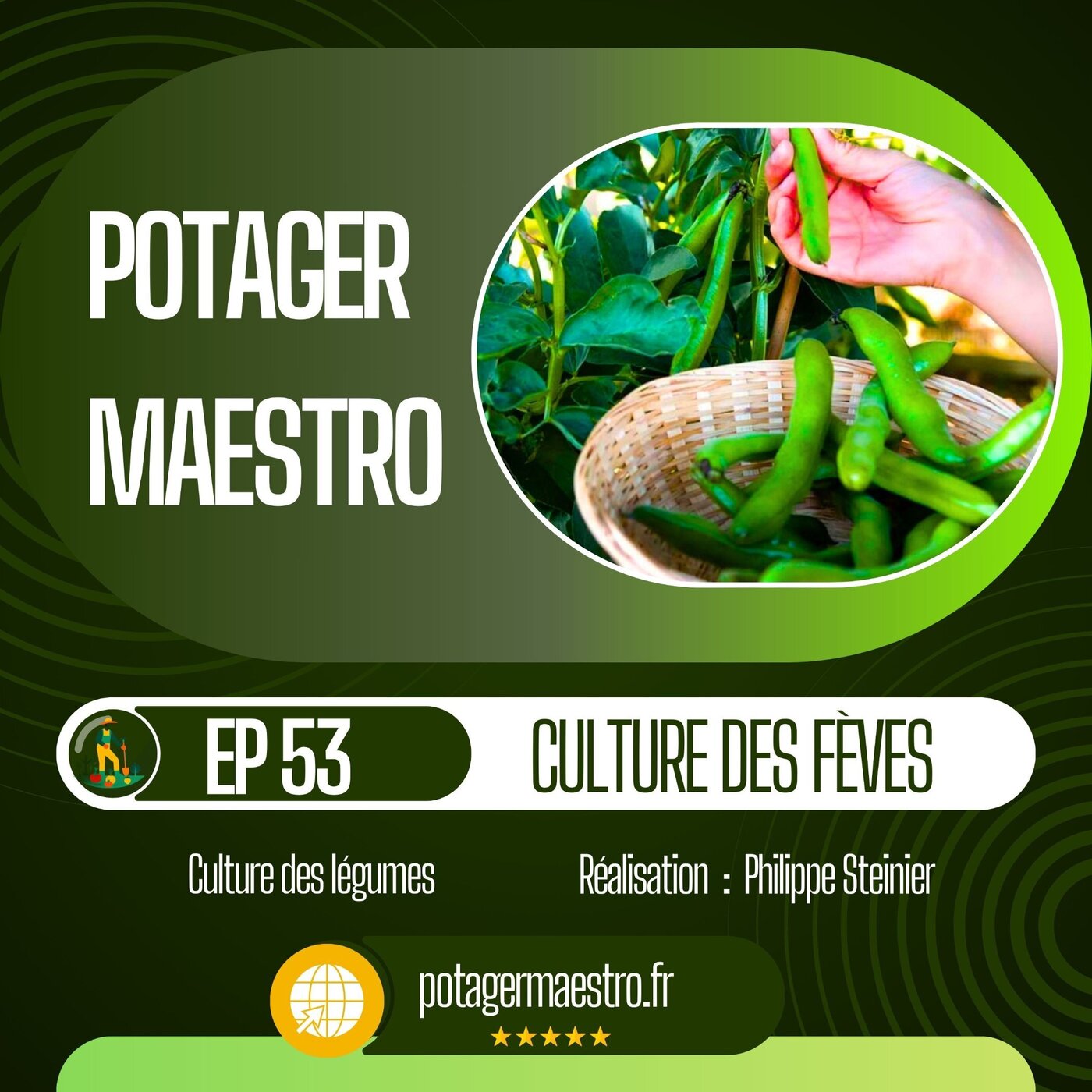 Réussir la culture des fèves dans votre potager