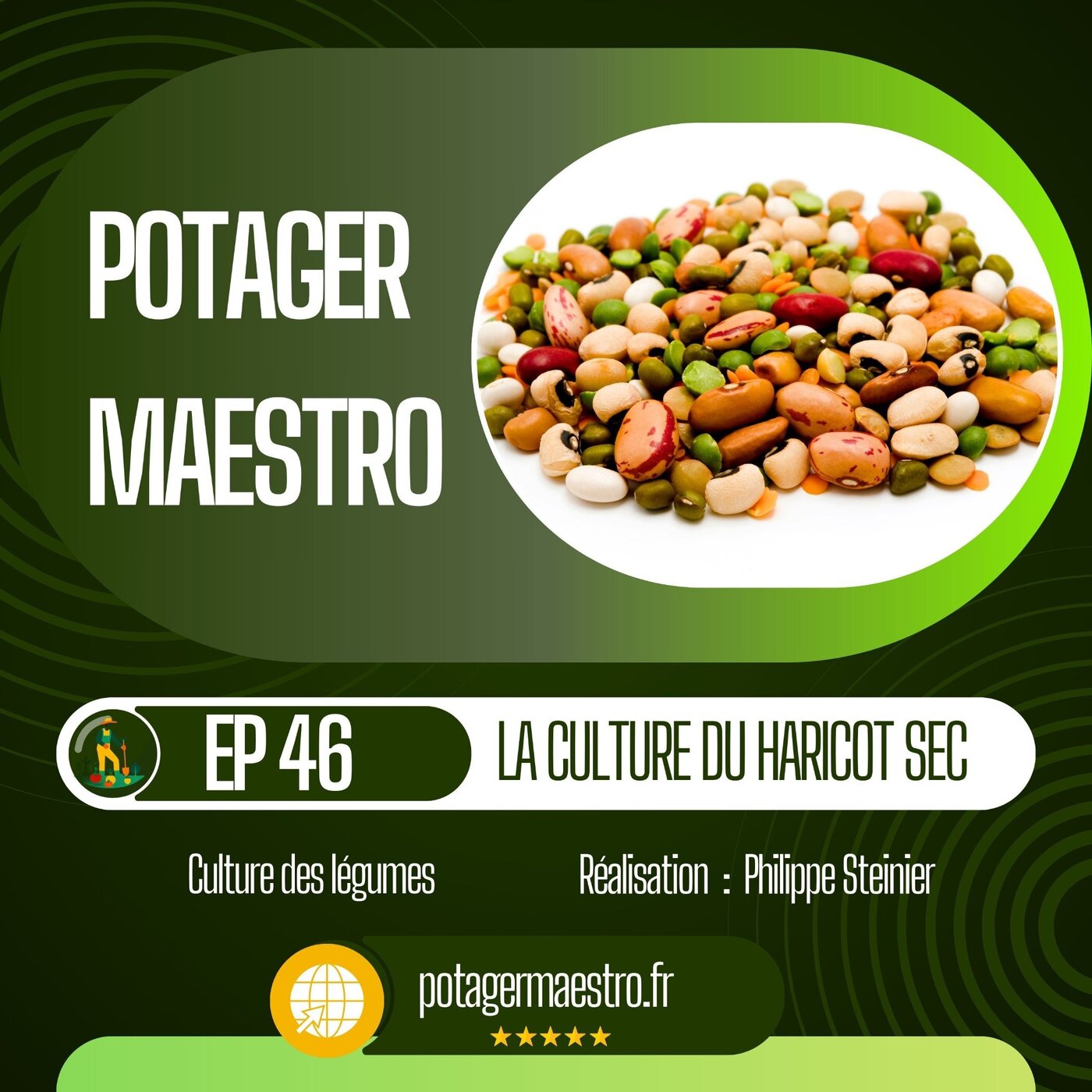 Réussir la culture des haricots secs à écosser dans votre potager
