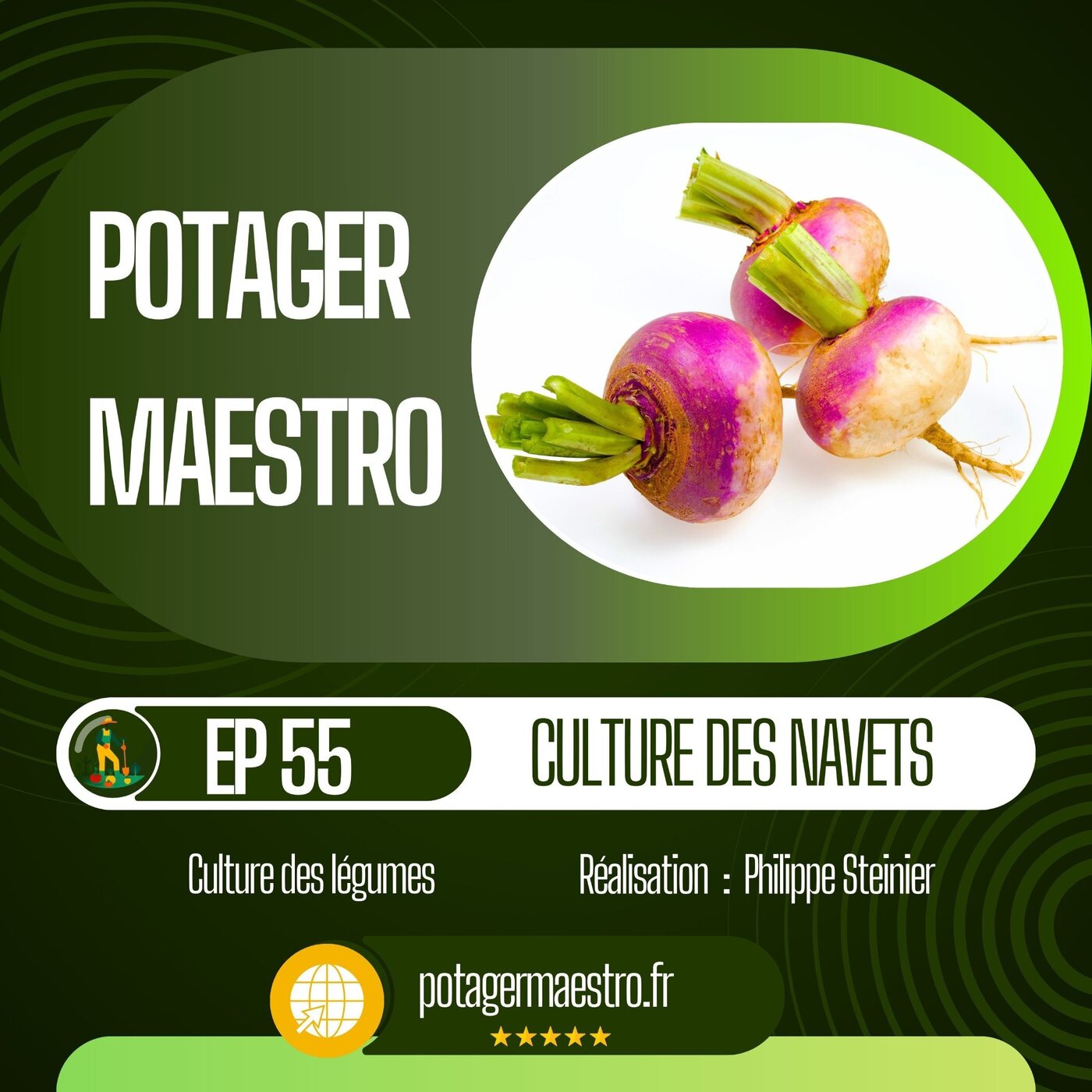Réussir la culture des navets dans votre potager