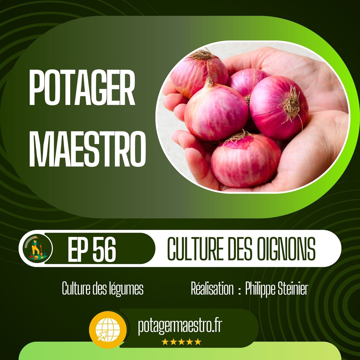 Réussir la culture des oignons dans votre potager