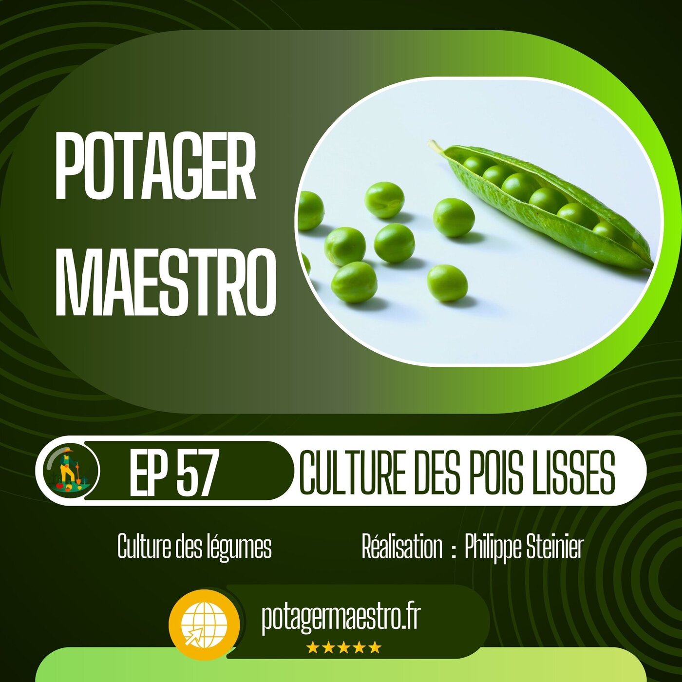 Réussir la culture des pois lisses dans votre potager