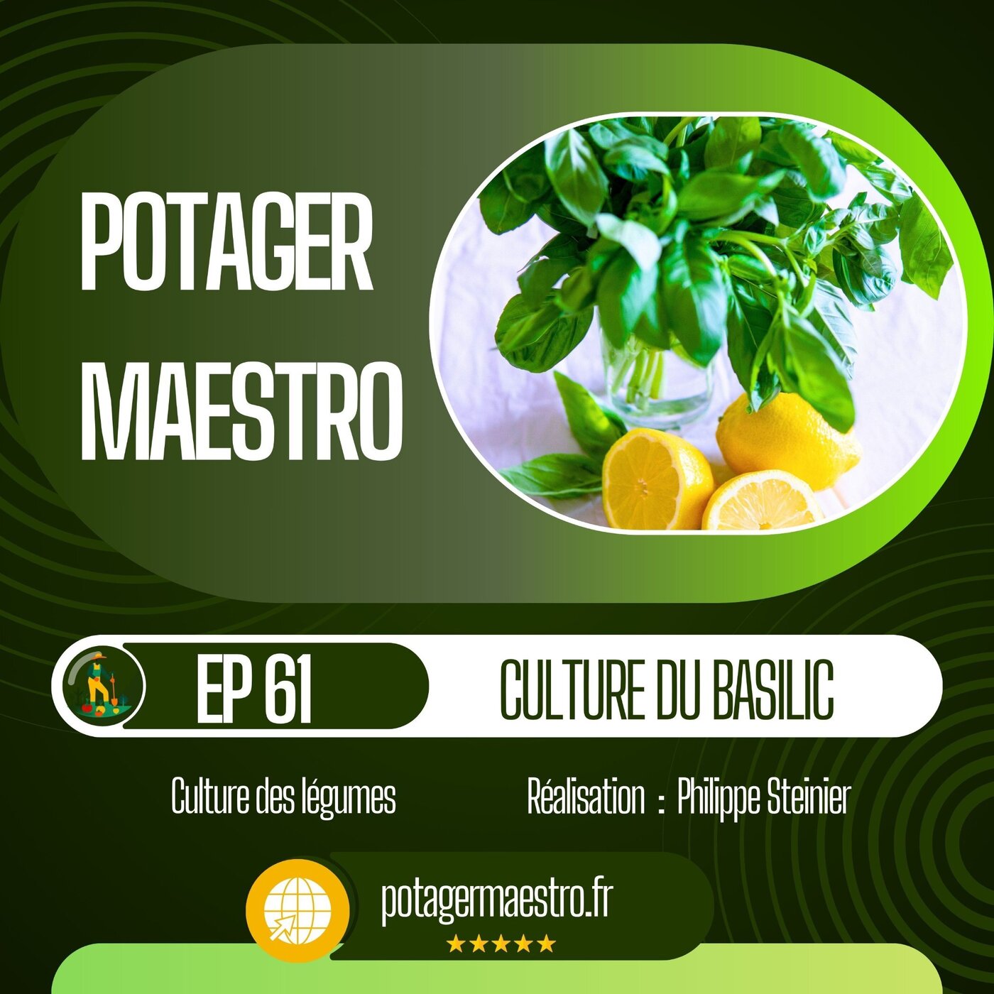 Réussir la culture du basilic dans votre potager Réussir la culture du basilic dans votre potager