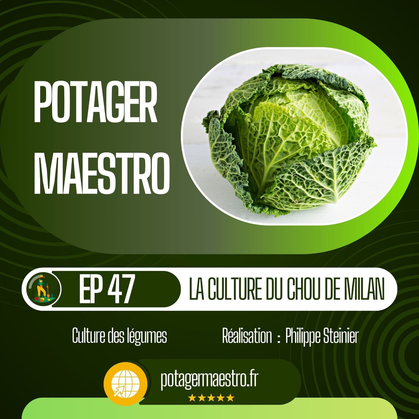 Réussir la culture du chou de Milan (de Savoie) dans votre potager