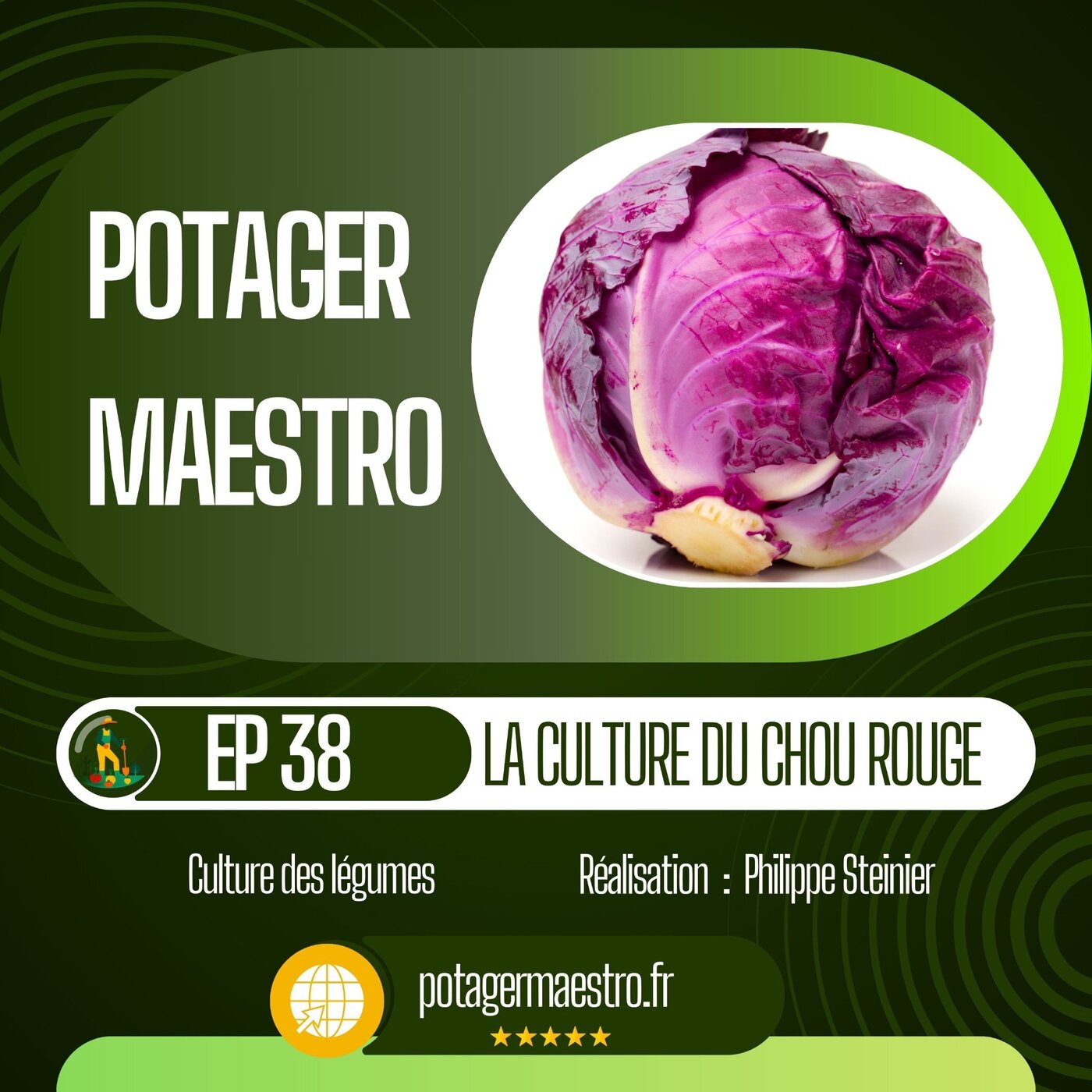 Réussir la culture du chou rouge dans votre potager