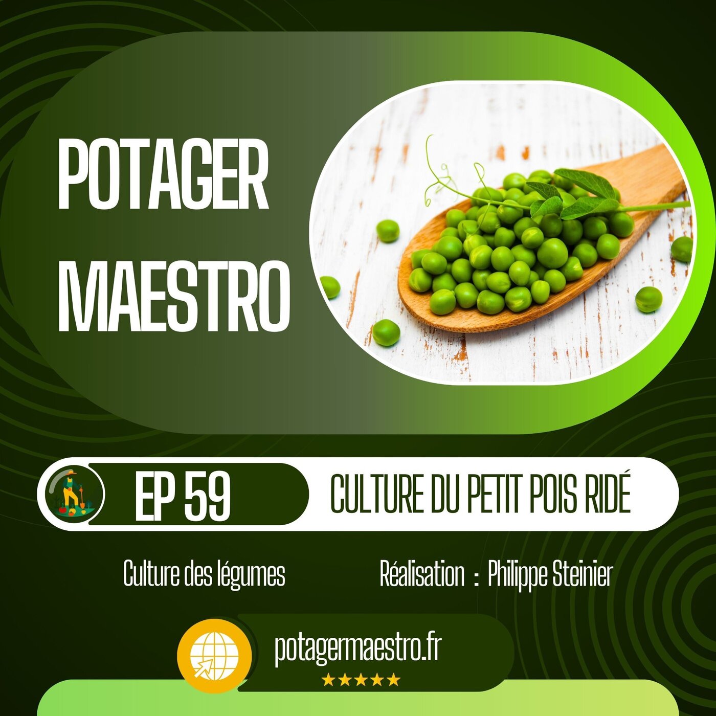 Réussir la culture du petit pois ridé dans votre potager