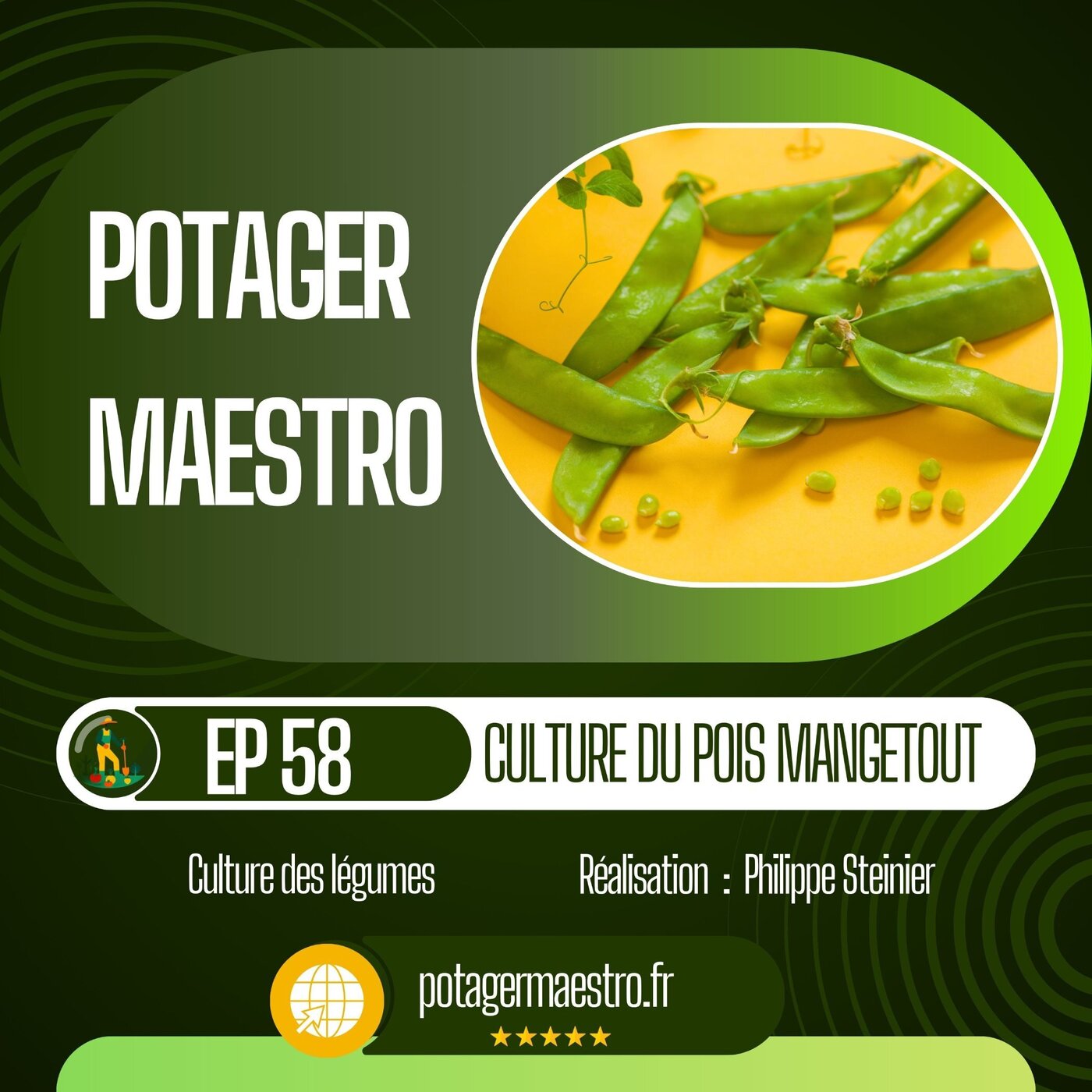 Réussir la culture du pois gourmand ou mangetout dans votre potager