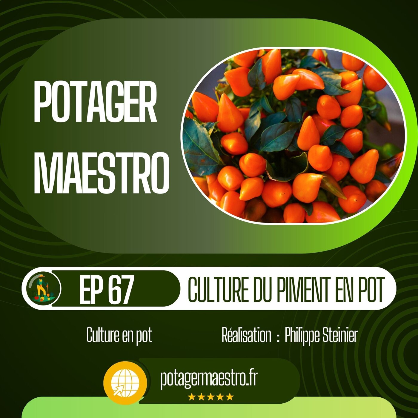 Réussissez la culture des piments en pot sur votre balcon et terrasse Réussissez la culture des piments en pot sur votre balcon et terrasse